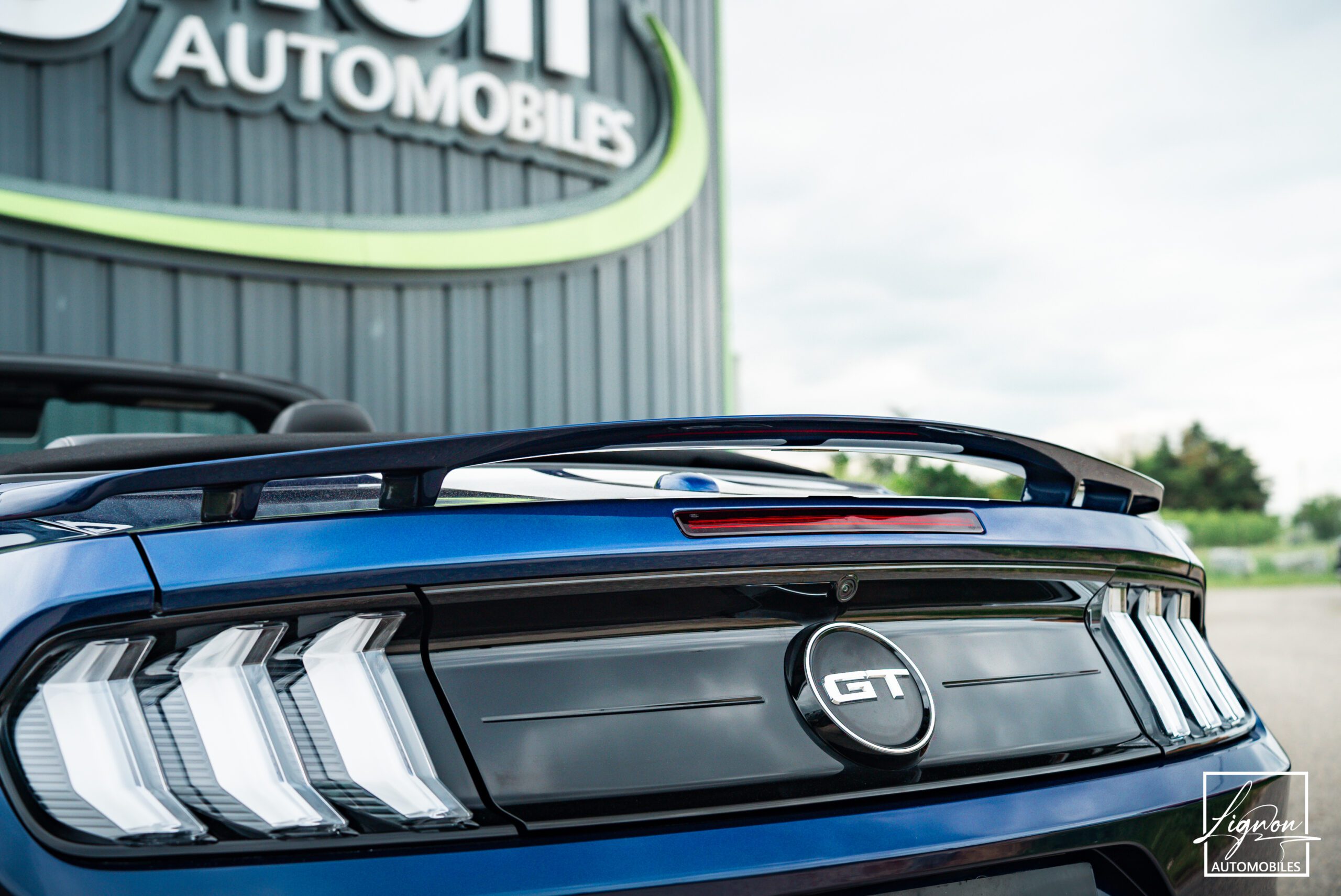 Photo Ford Mustang Cabriolet Gt 5.0l V8 450 Bva10 Premium - Suspension Magneride et B&O