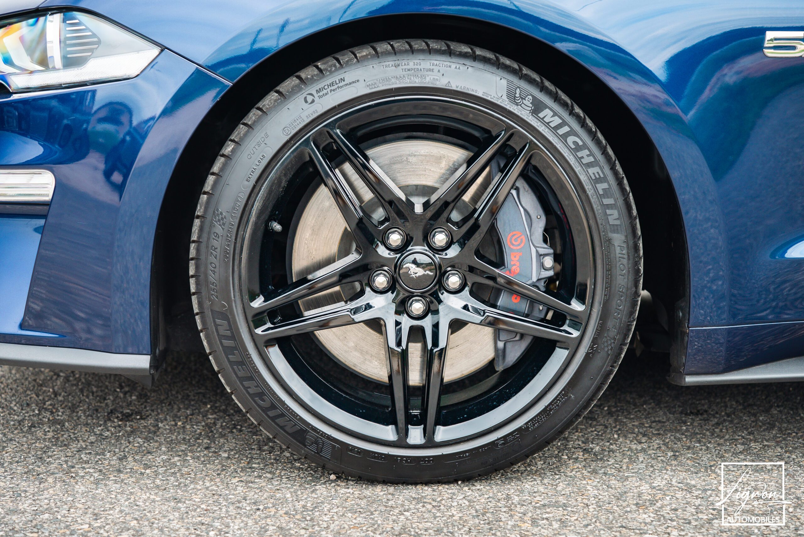 Photo Ford Mustang Cabriolet Gt 5.0l V8 450 Bva10 Premium - Suspension Magneride et B&O