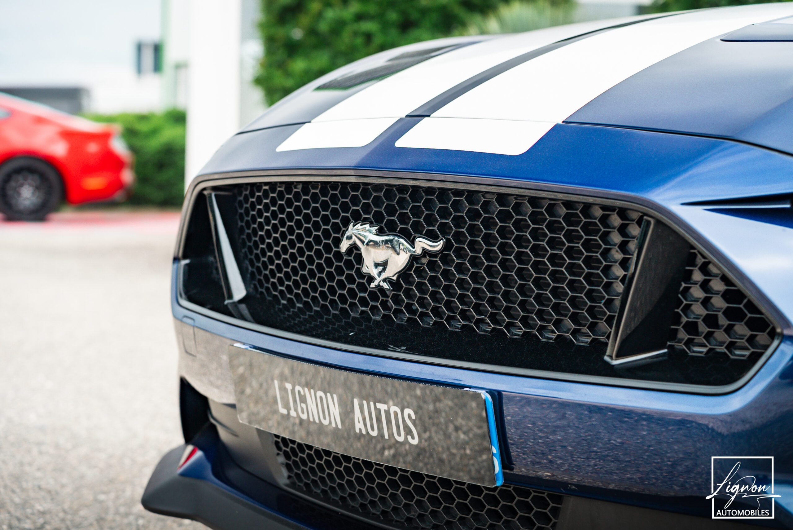 Photo Ford Mustang Cabriolet Gt 5.0l V8 450 Bva10 Premium - Suspension Magneride et B&O