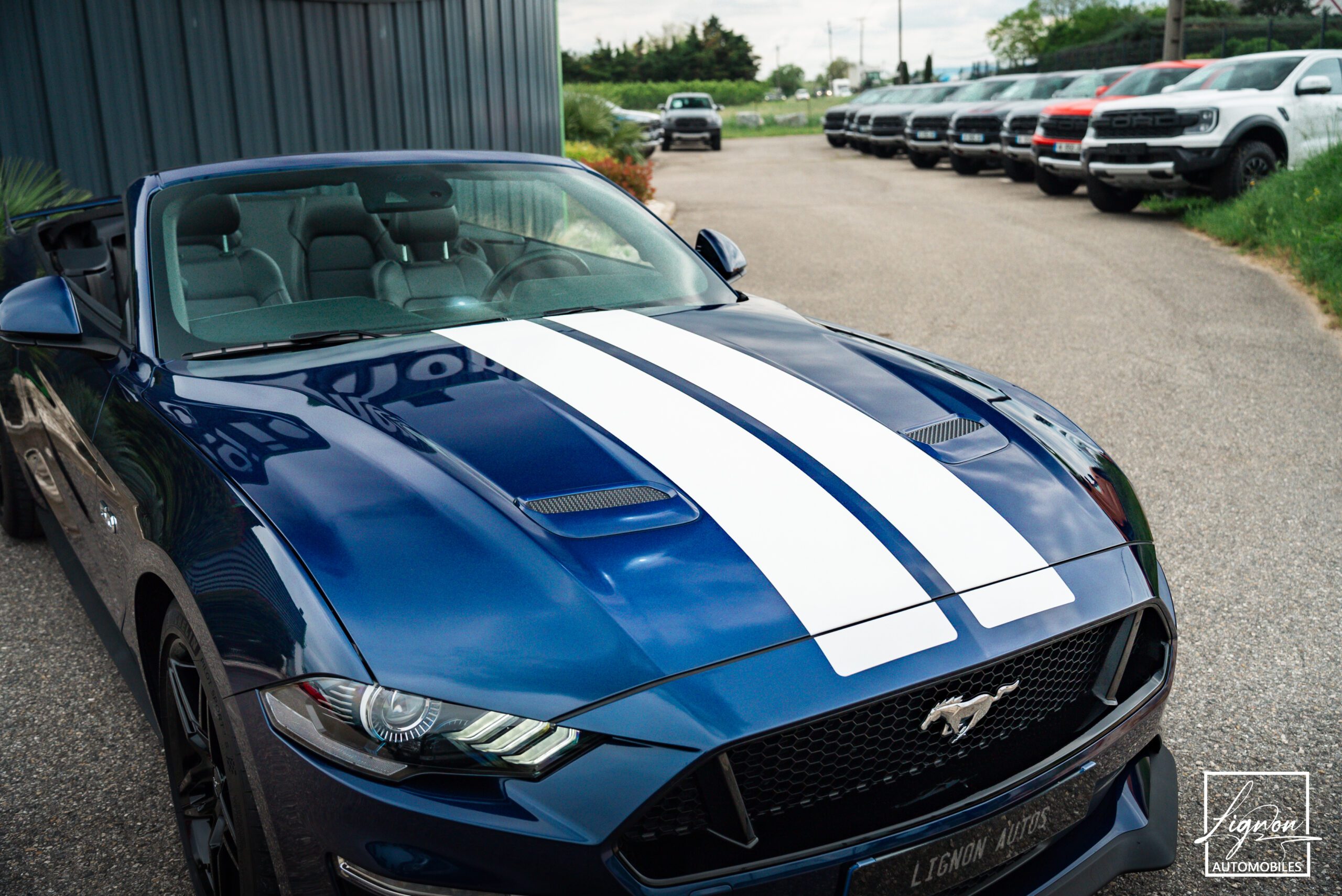 Photo Ford Mustang Cabriolet Gt 5.0l V8 450 Bva10 Premium - Suspension Magneride et B&O