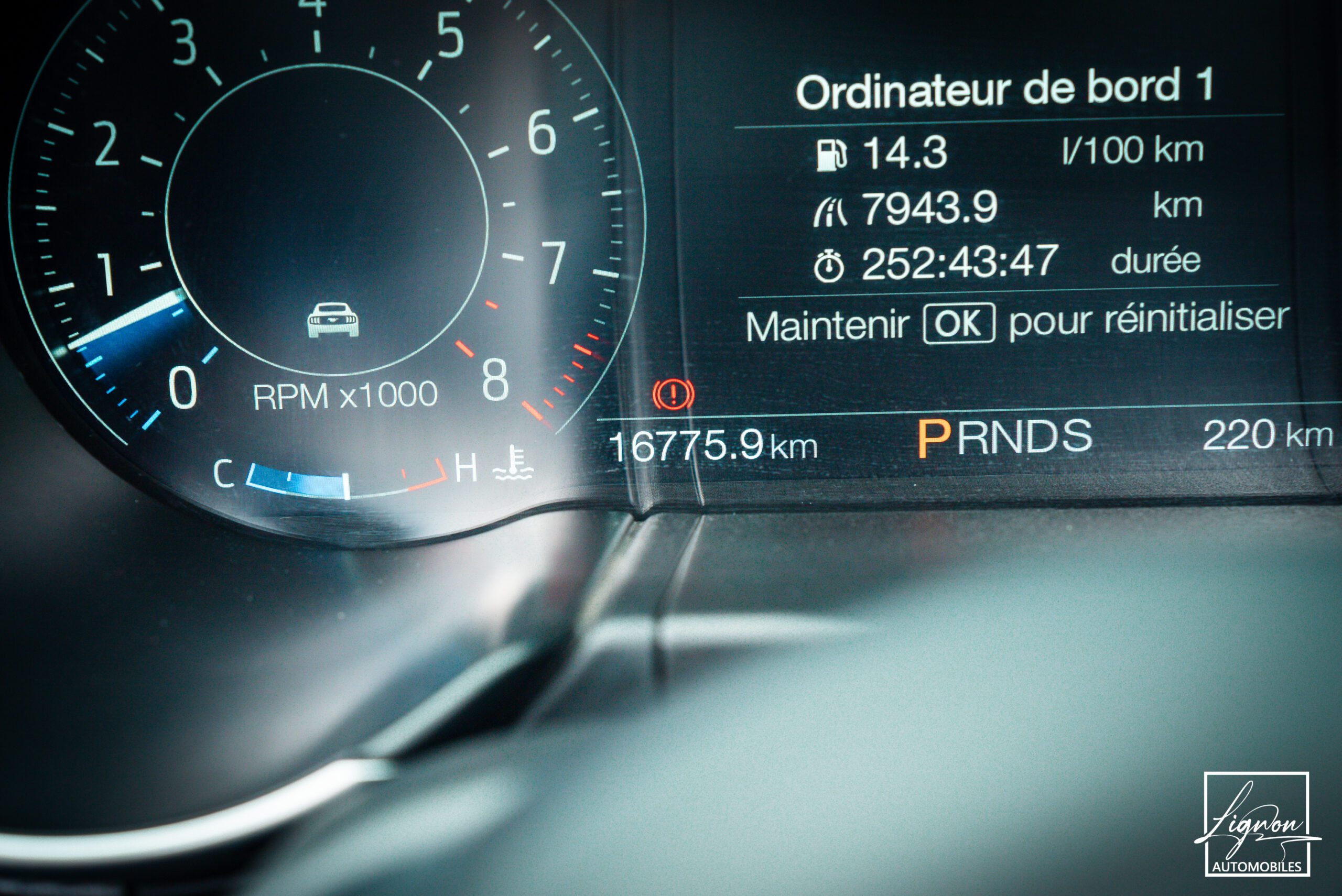 Photo Ford Mustang Cabriolet Gt 5.0l V8 450 Bva10 Premium - Suspension Magneride et B&O