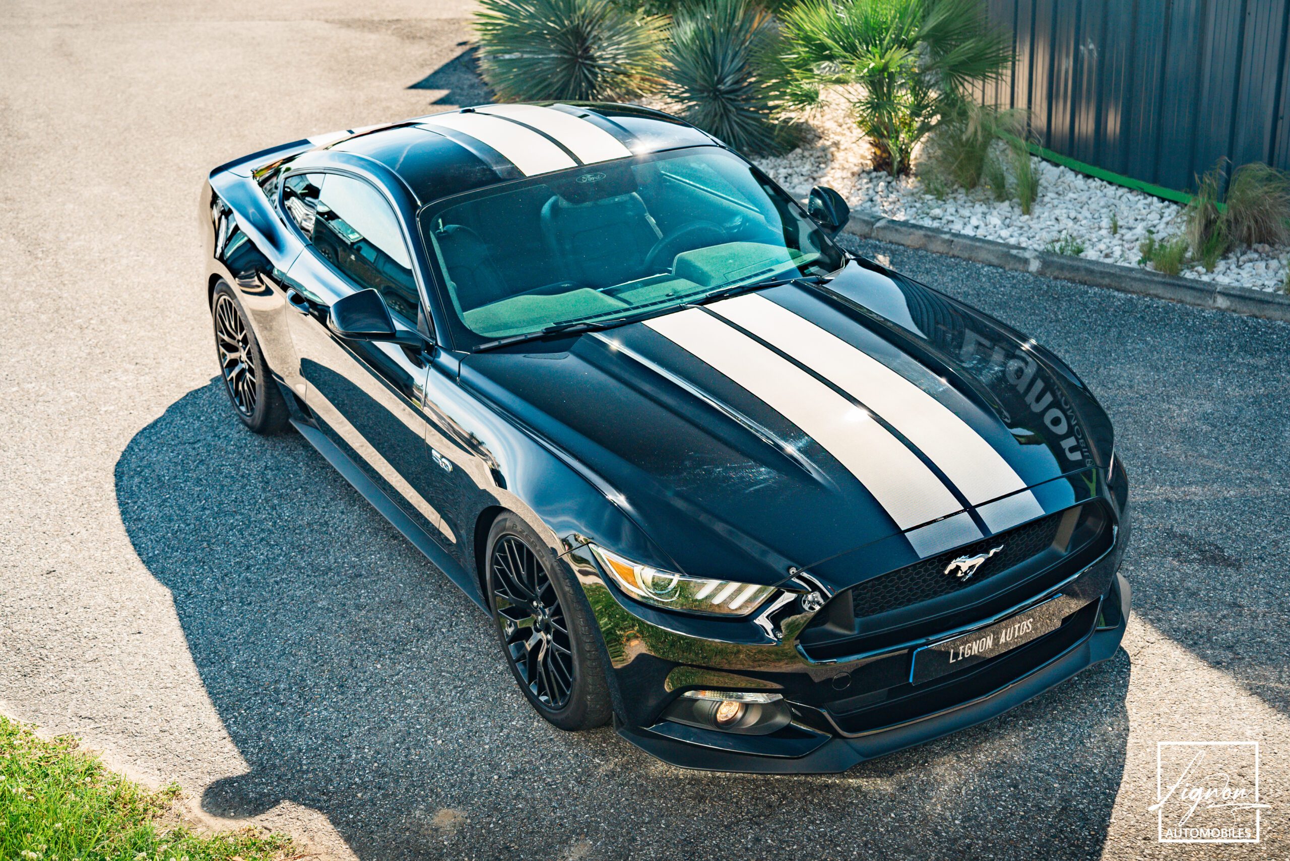 Photo Ford Mustang 5.0 v8 GT Fastback 421 ch Boite Automatique