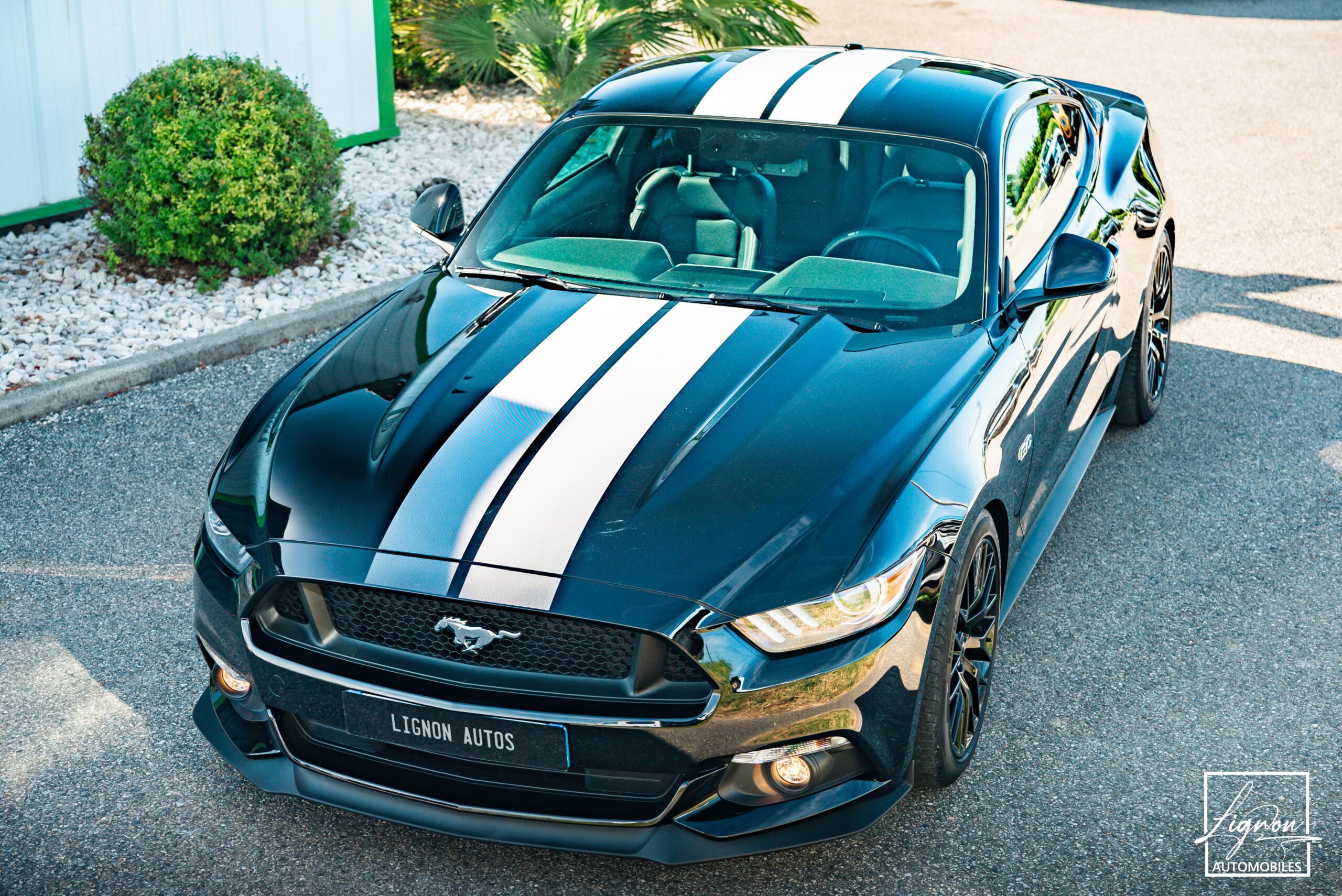 Photo Ford Mustang 5.0 v8 GT Fastback 421 ch Boite Automatique