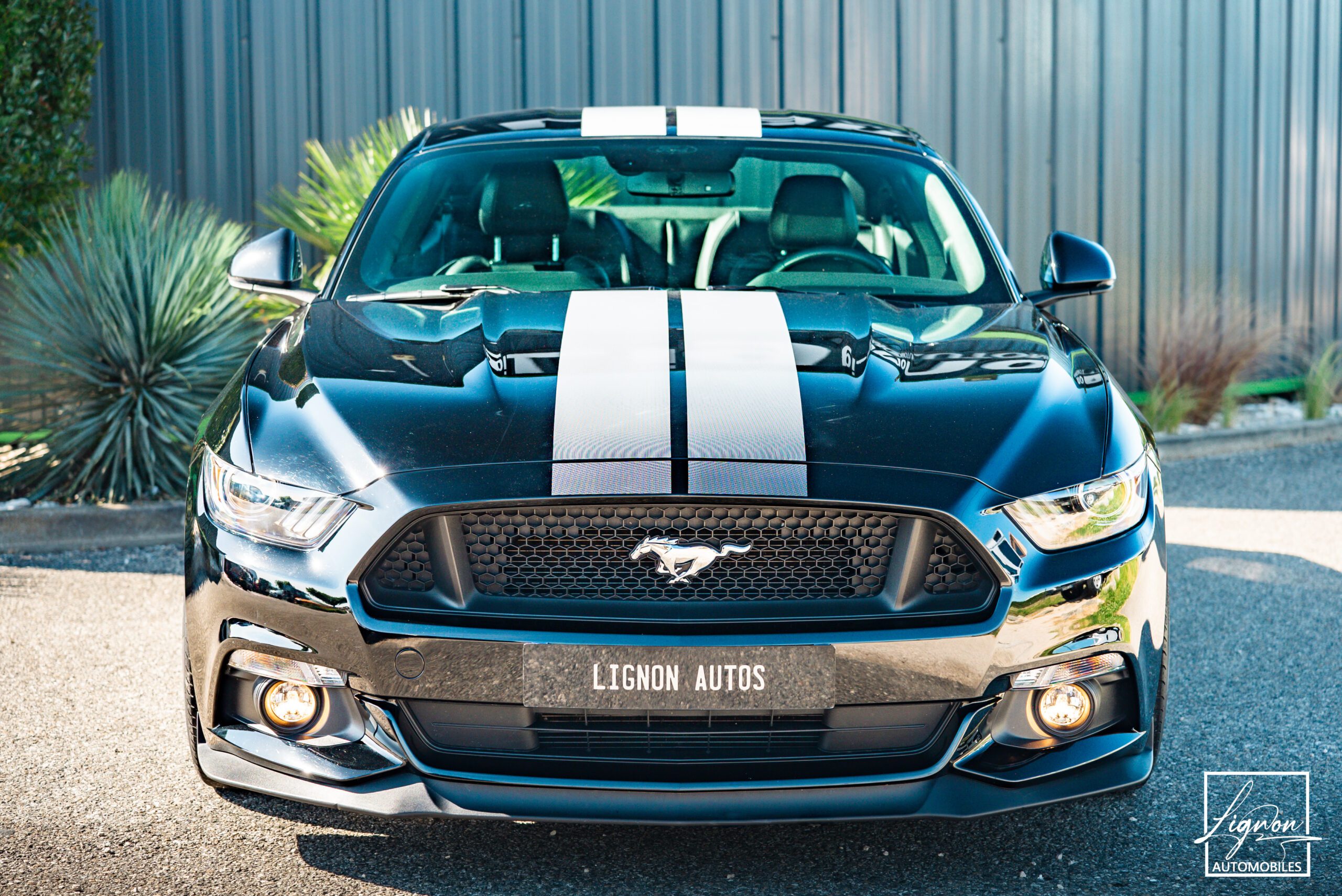 Photo Ford Mustang 5.0 v8 GT Fastback 421 ch Boite Automatique