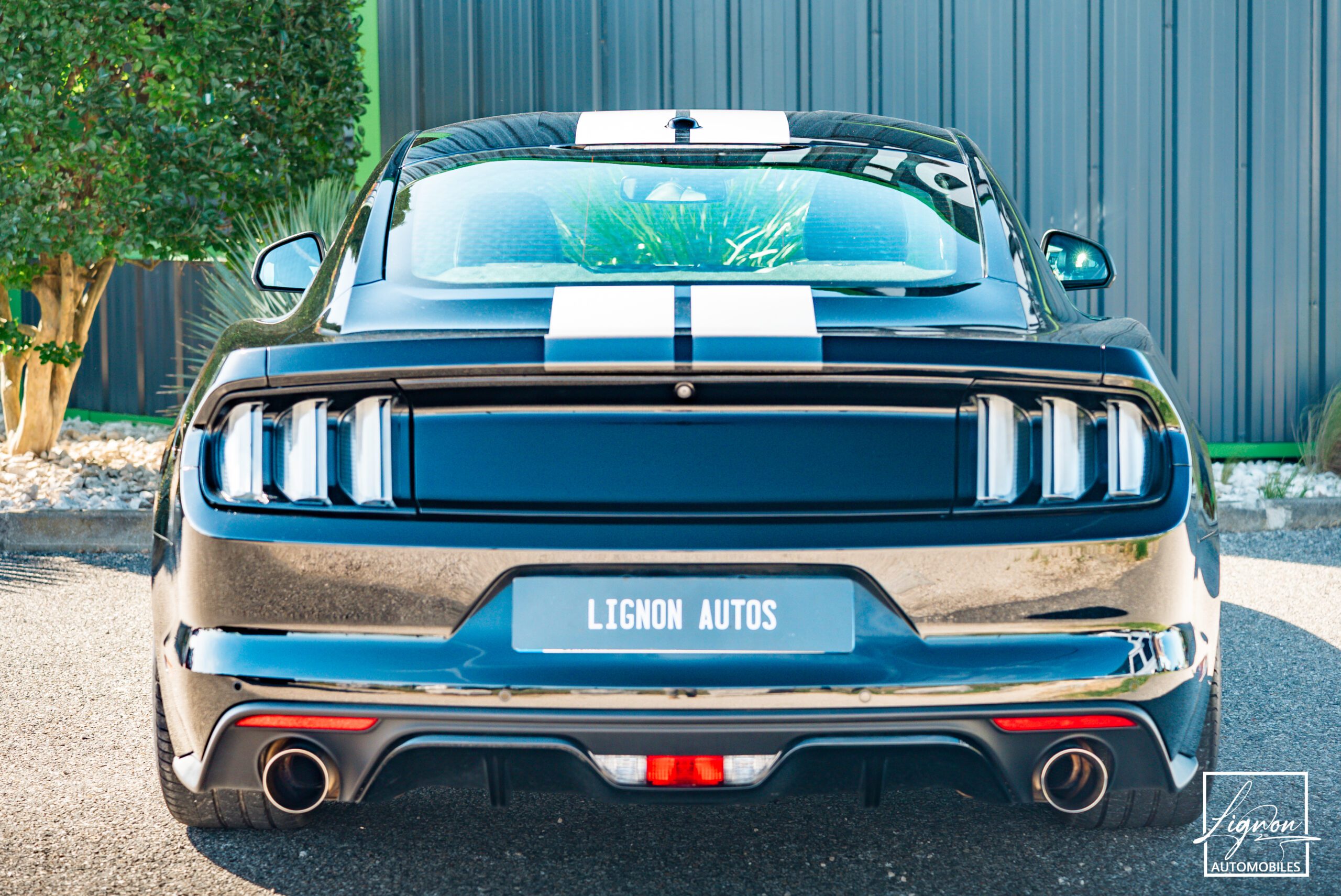 Photo Ford Mustang 5.0 v8 GT Fastback 421 ch Boite Automatique