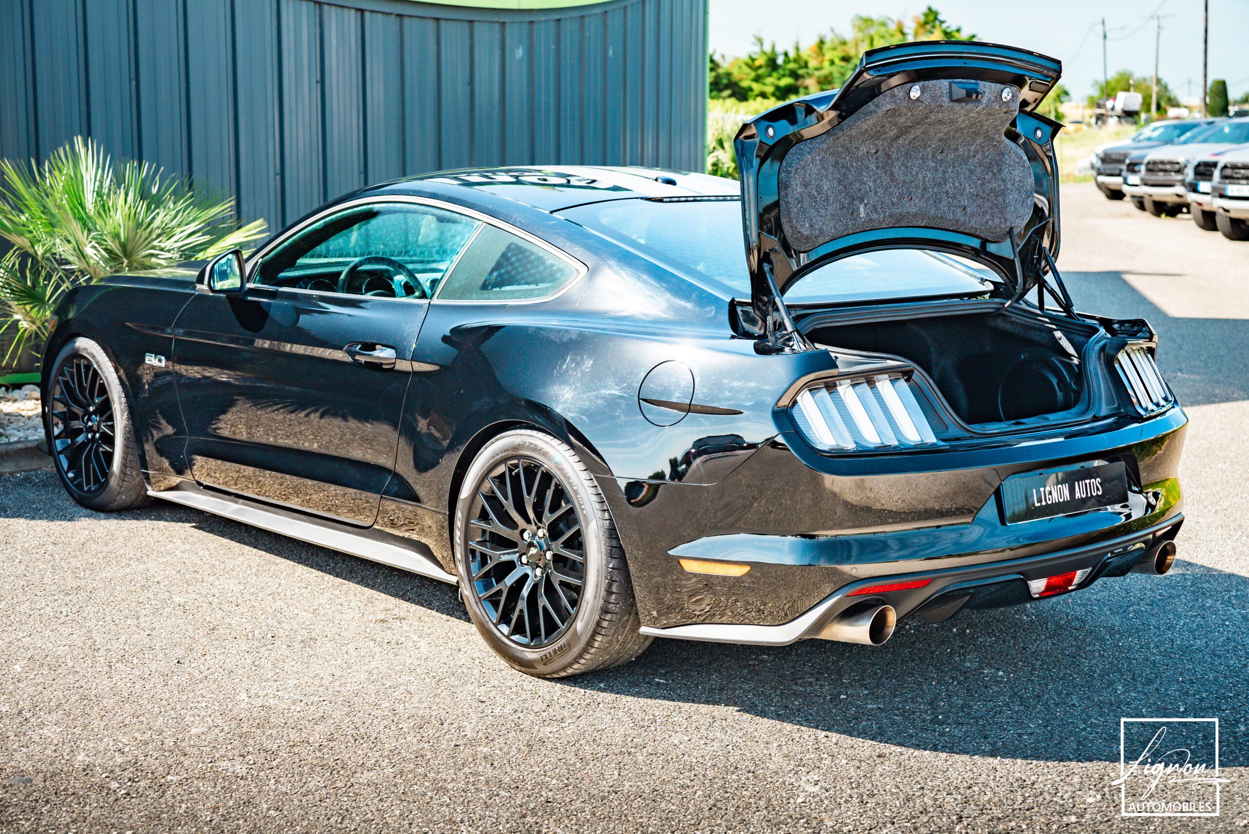 Photo Ford Mustang 5.0 v8 GT Fastback 421 ch Boite Automatique