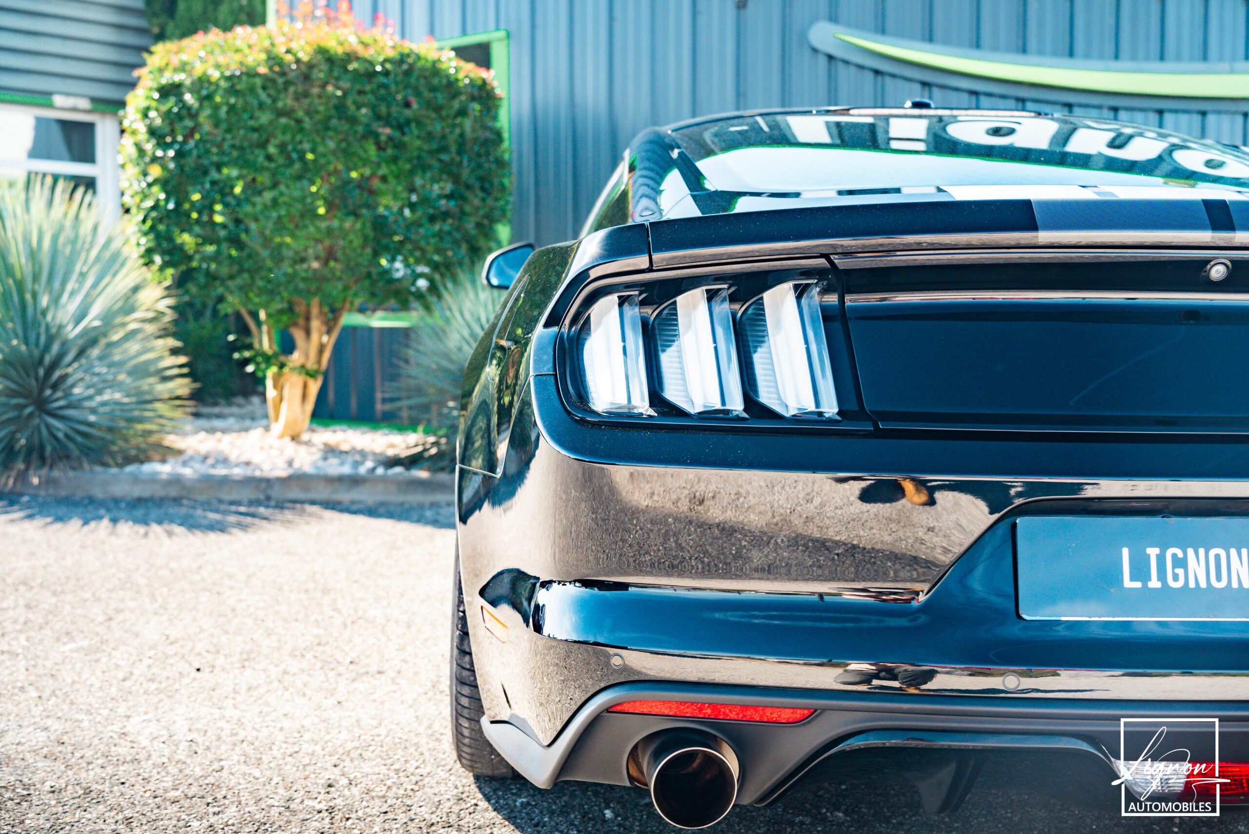 Photo Ford Mustang 5.0 v8 GT Fastback 421 ch Boite Automatique