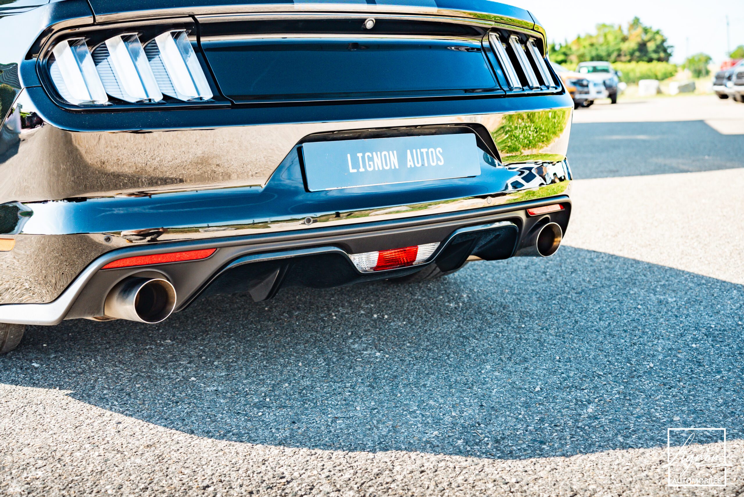 Photo Ford Mustang 5.0 v8 GT Fastback 421 ch Boite Automatique
