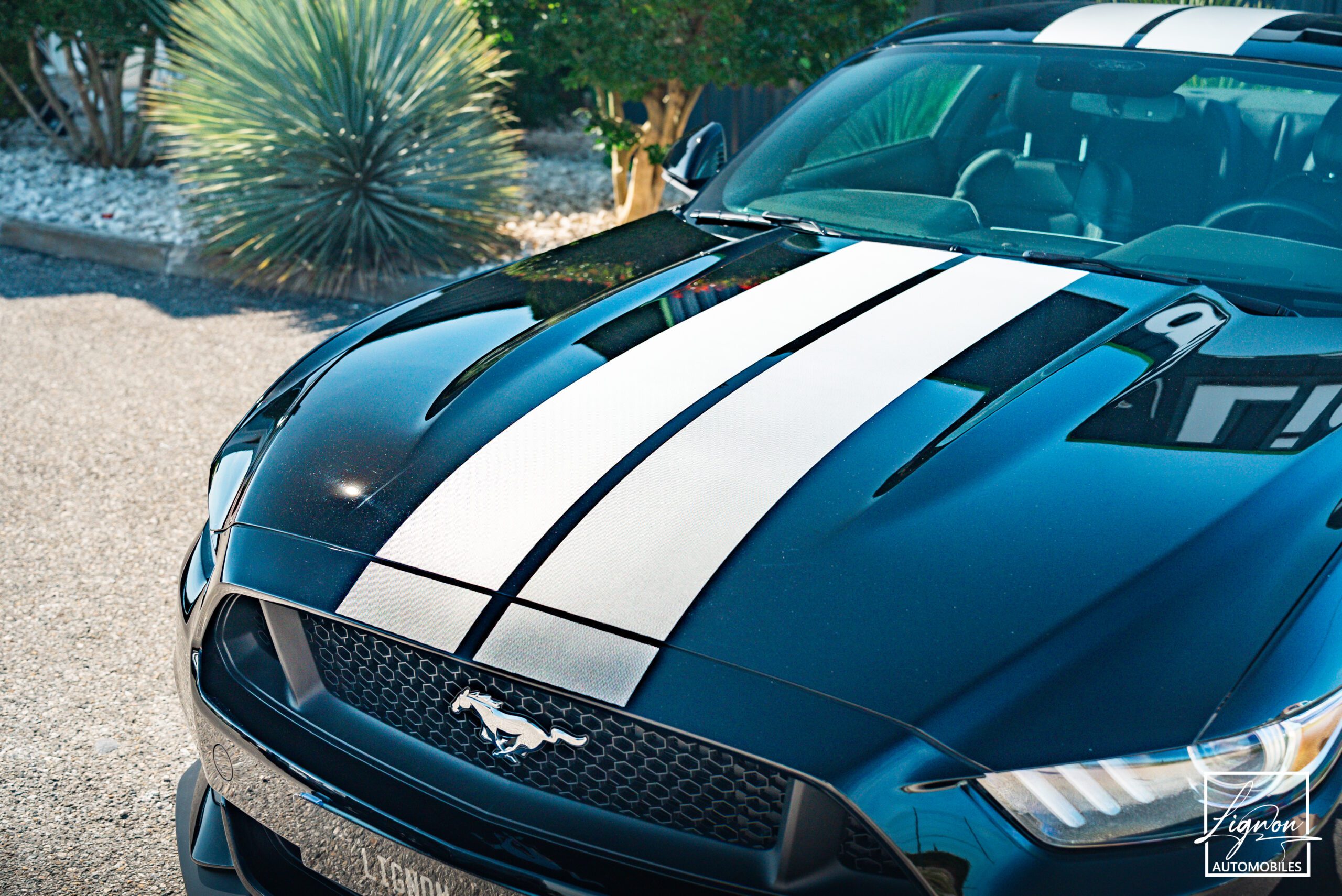 Photo Ford Mustang 5.0 v8 GT Fastback 421 ch Boite Automatique