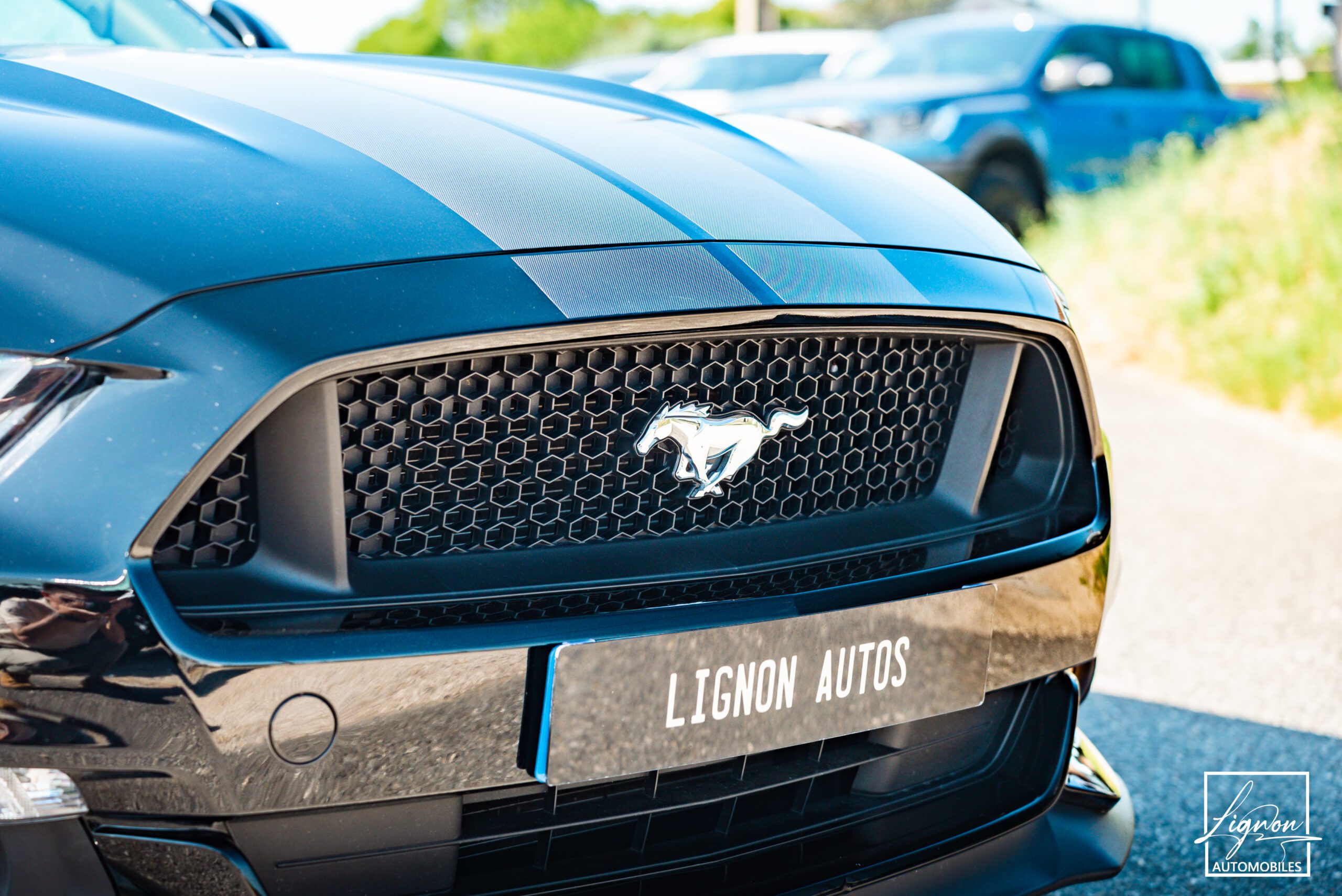 Photo Ford Mustang 5.0 v8 GT Fastback 421 ch Boite Automatique