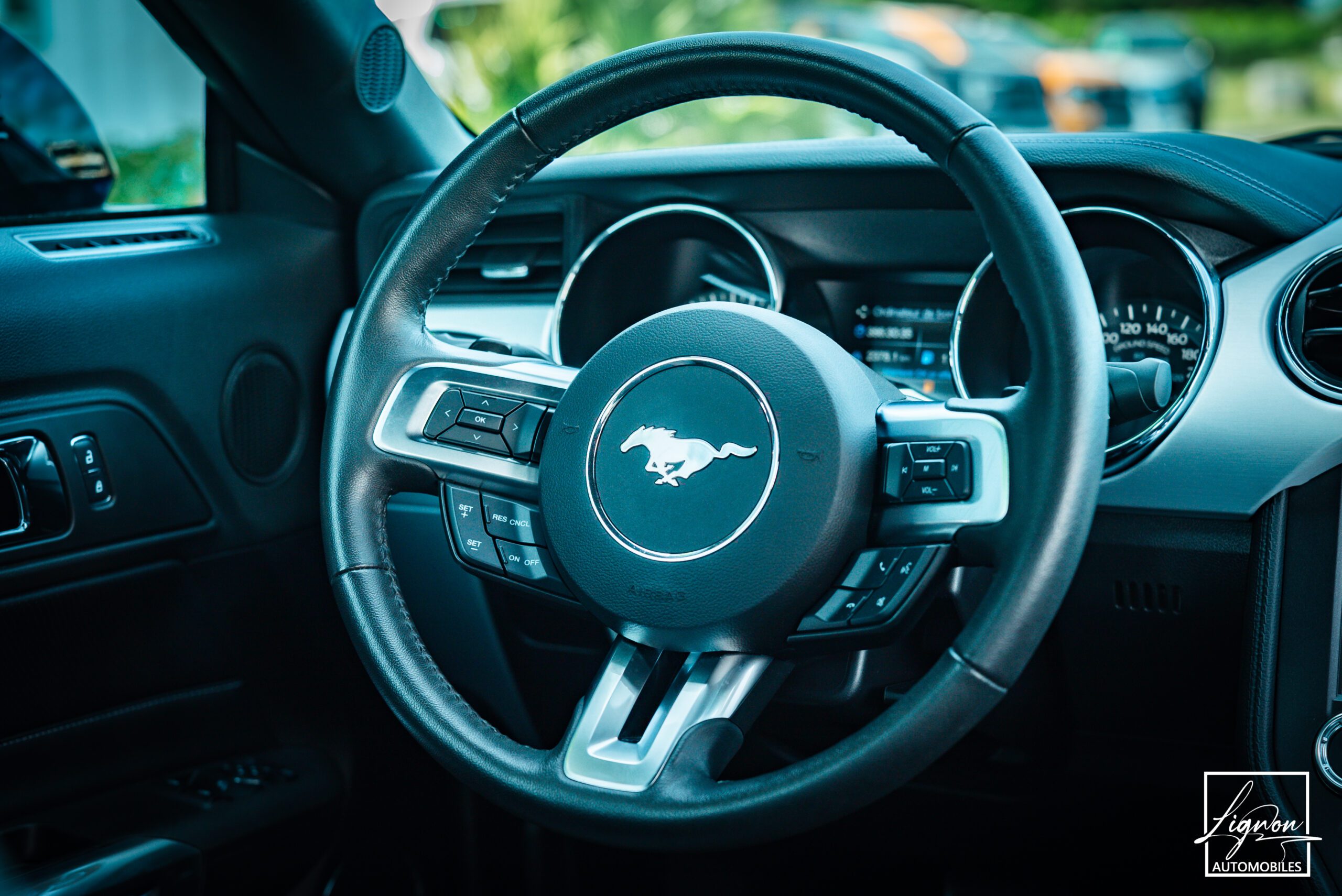 Photo Ford Mustang 5.0 v8 GT Fastback 421 ch Boite Automatique
