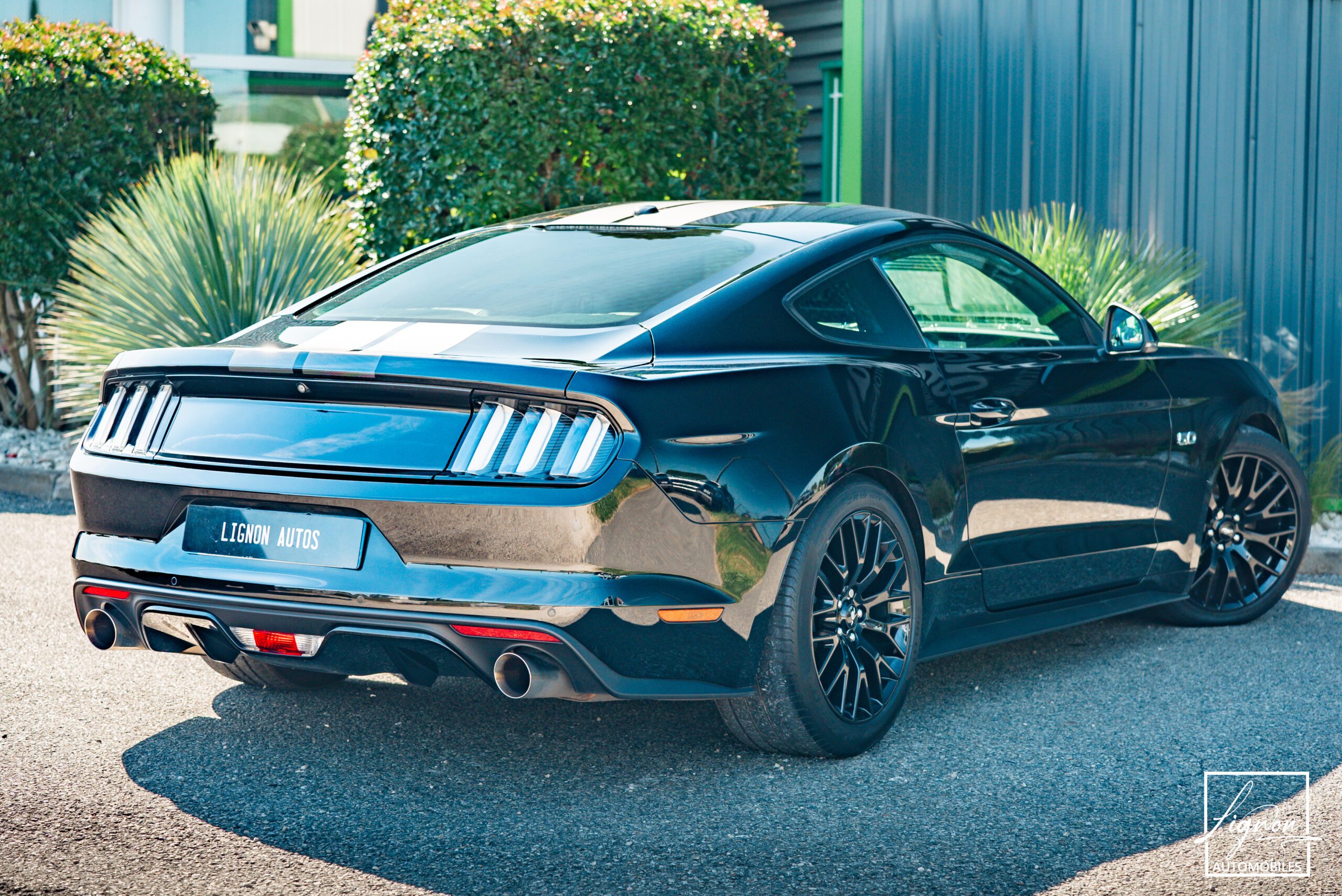 Ford Mustang 5.0 v8 GT Fastback 421 ch Boite Automatique
