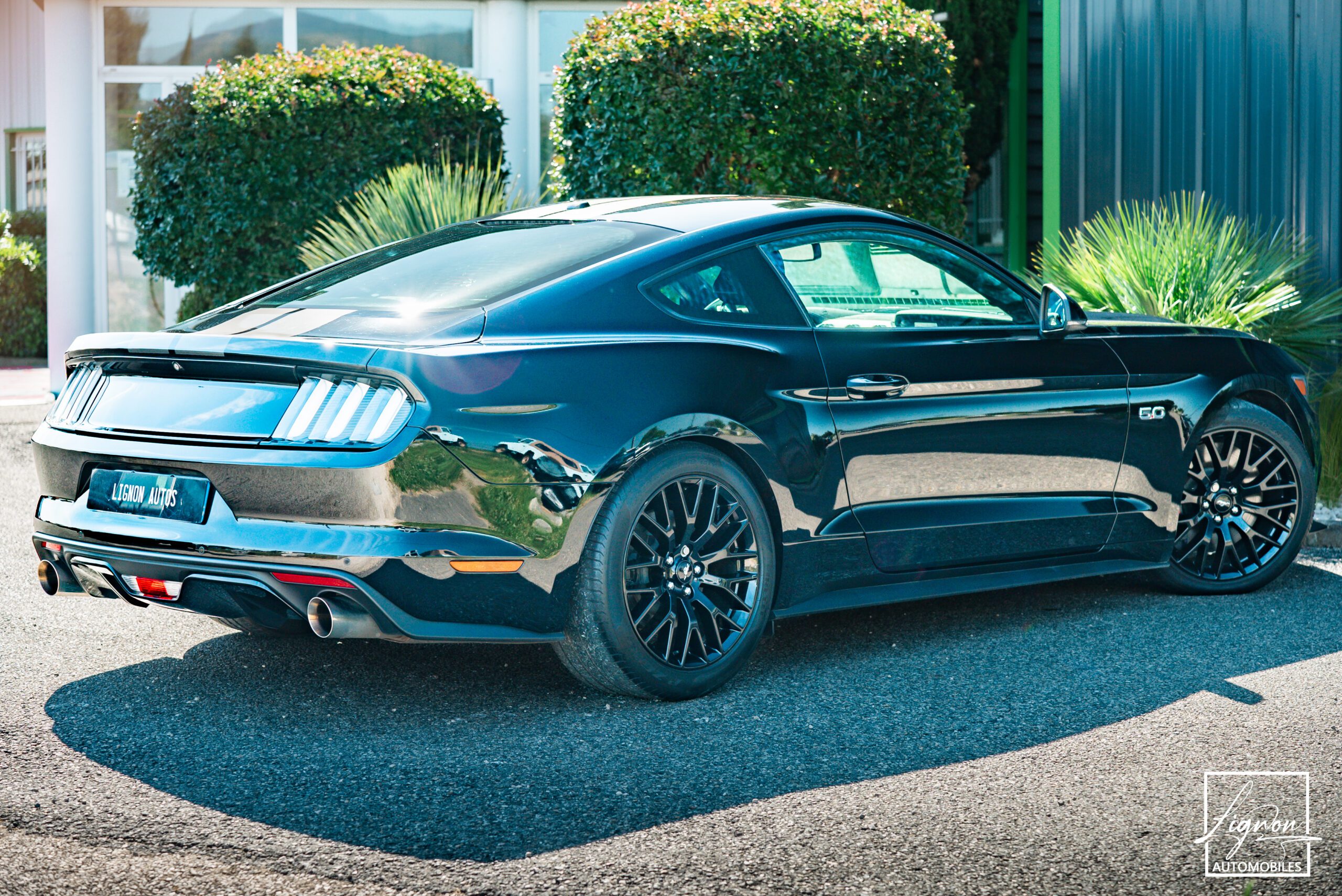 Photo Ford Mustang 5.0 v8 GT Fastback 421 ch Boite Automatique