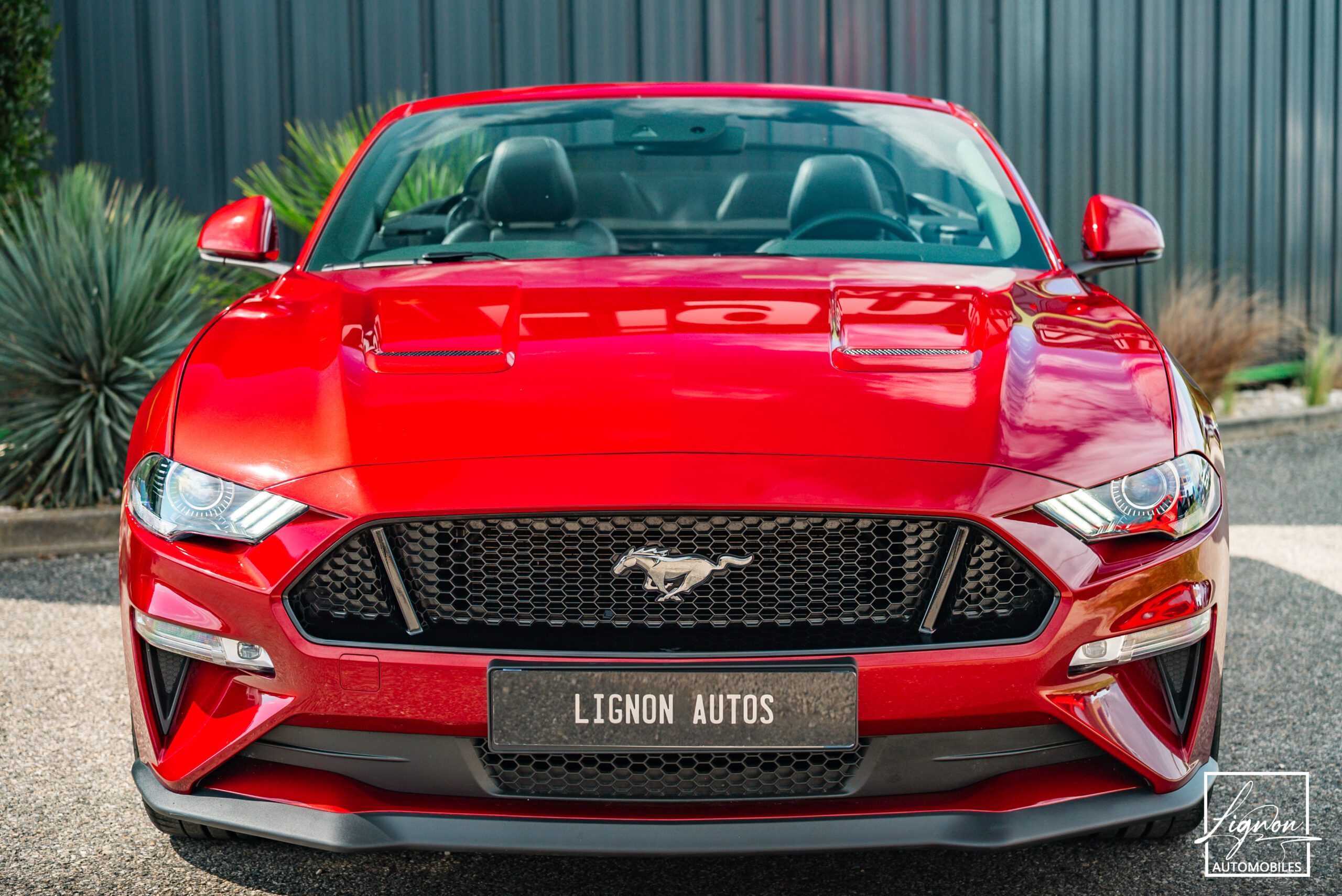 Photo Ford Mustang GT 5.0 v8 Cabriolet 450 ch BVM6