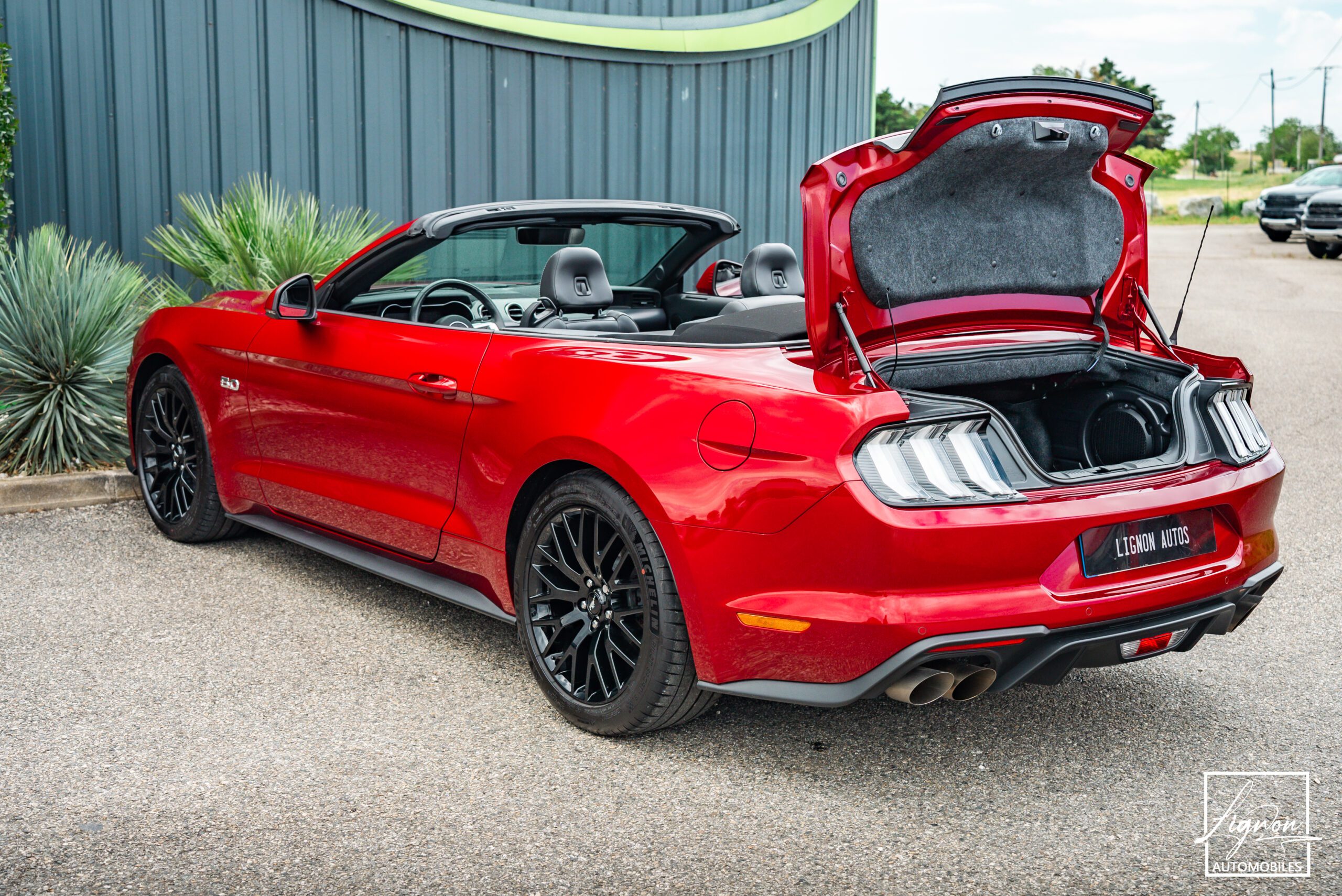 Photo Ford Mustang GT 5.0 v8 Cabriolet 450 ch BVM6