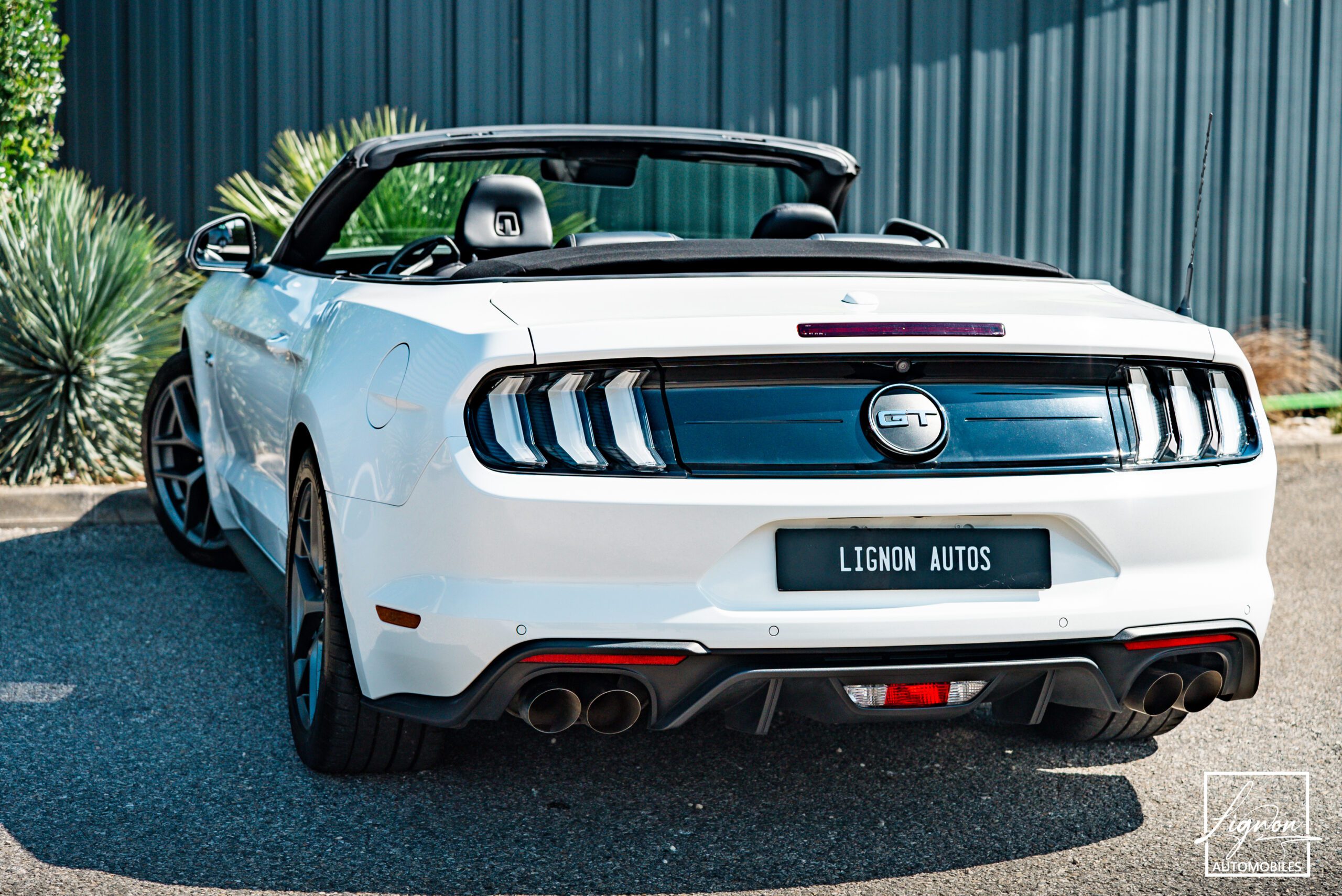 Photo Ford Mustang GT 5.0 v8 Cabriolet 450 ch BVA10