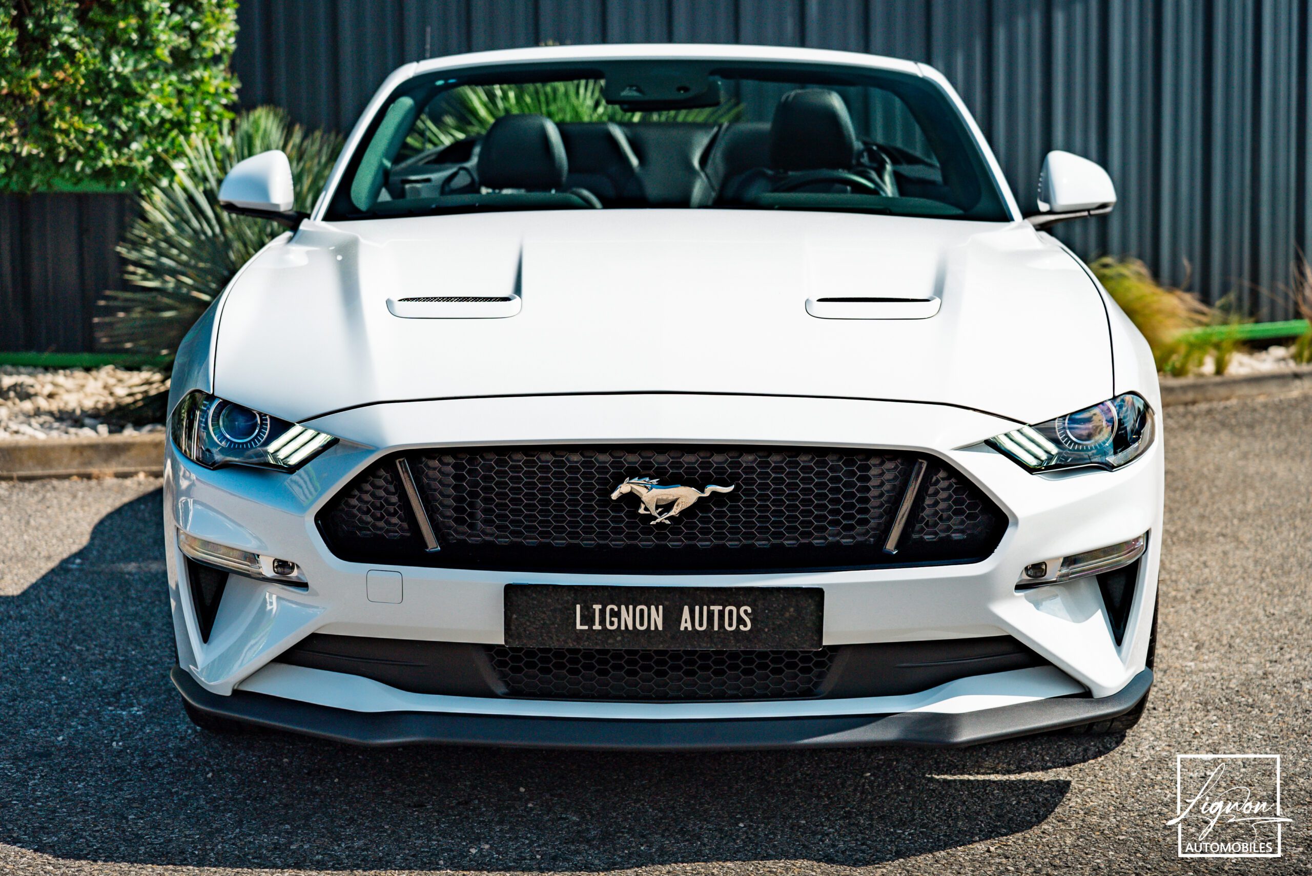 Photo Ford Mustang GT 5.0 v8 Cabriolet 450 ch BVA10