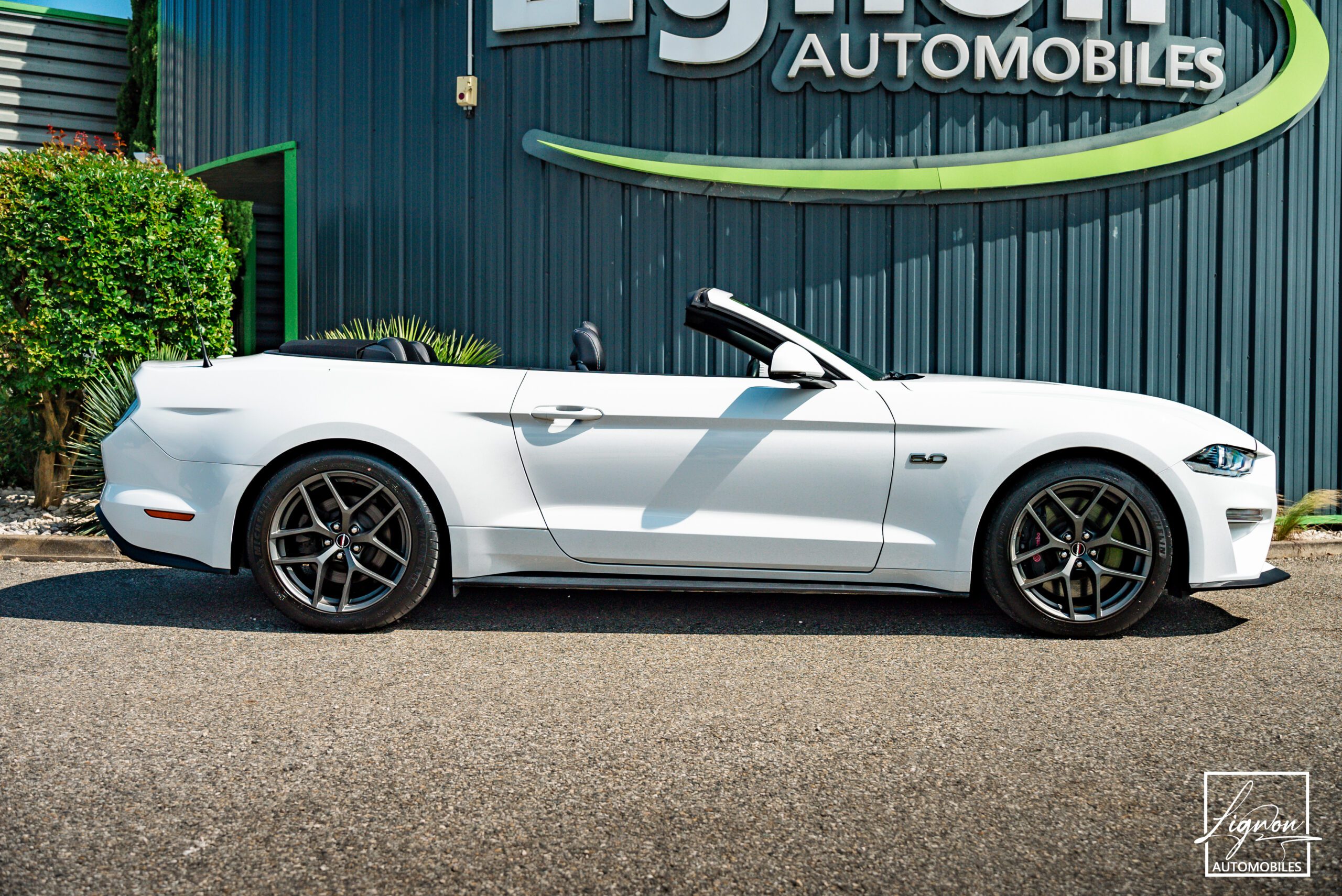 Photo Ford Mustang GT 5.0 v8 Cabriolet 450 ch BVA10