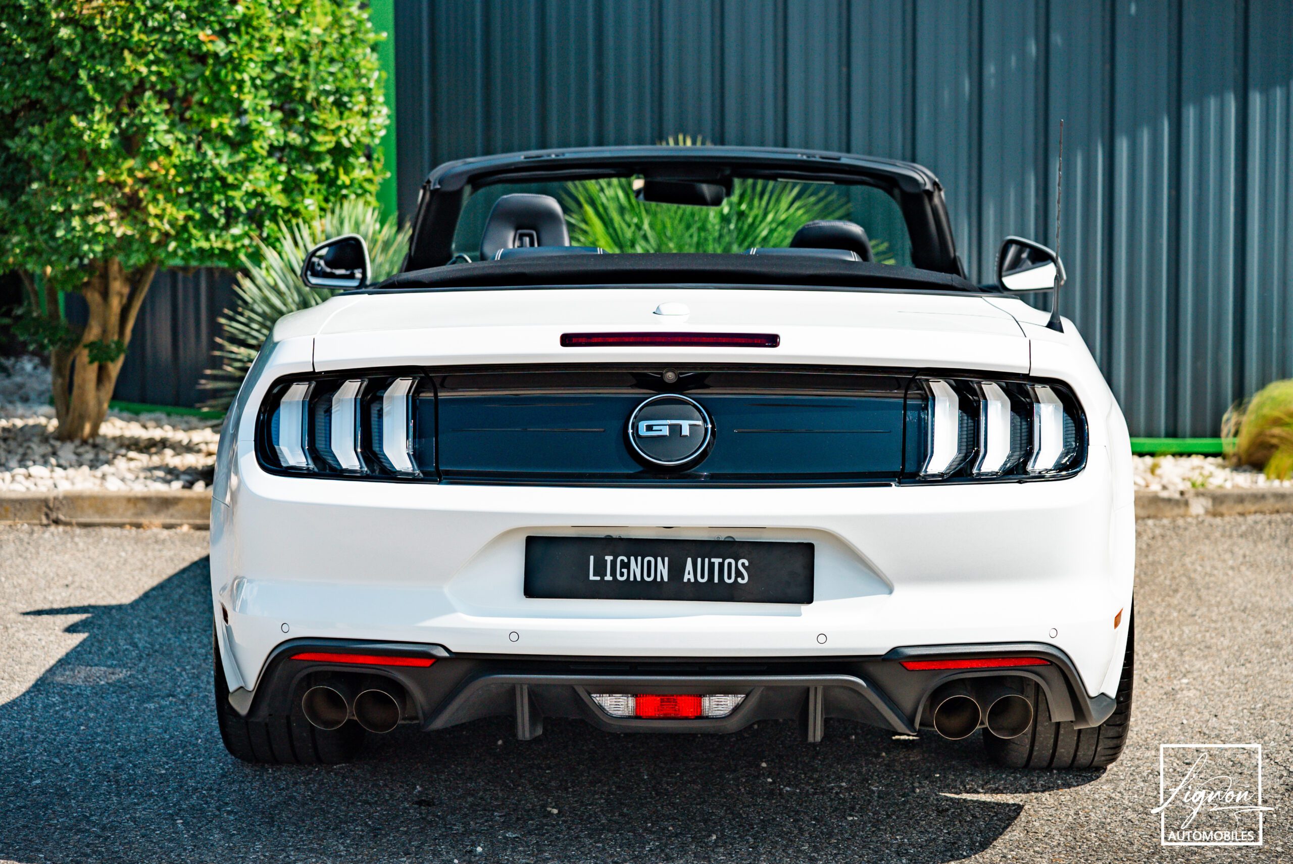 Photo Ford Mustang GT 5.0 v8 Cabriolet 450 ch BVA10