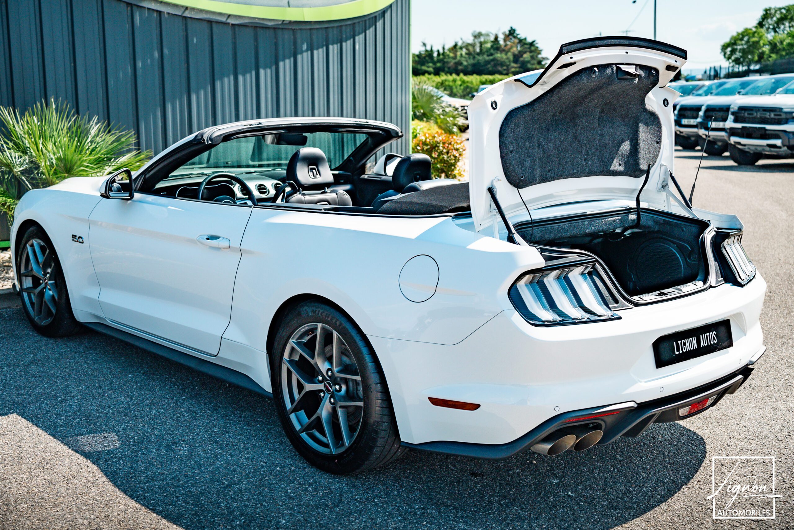 Photo Ford Mustang GT 5.0 v8 Cabriolet 450 ch BVA10