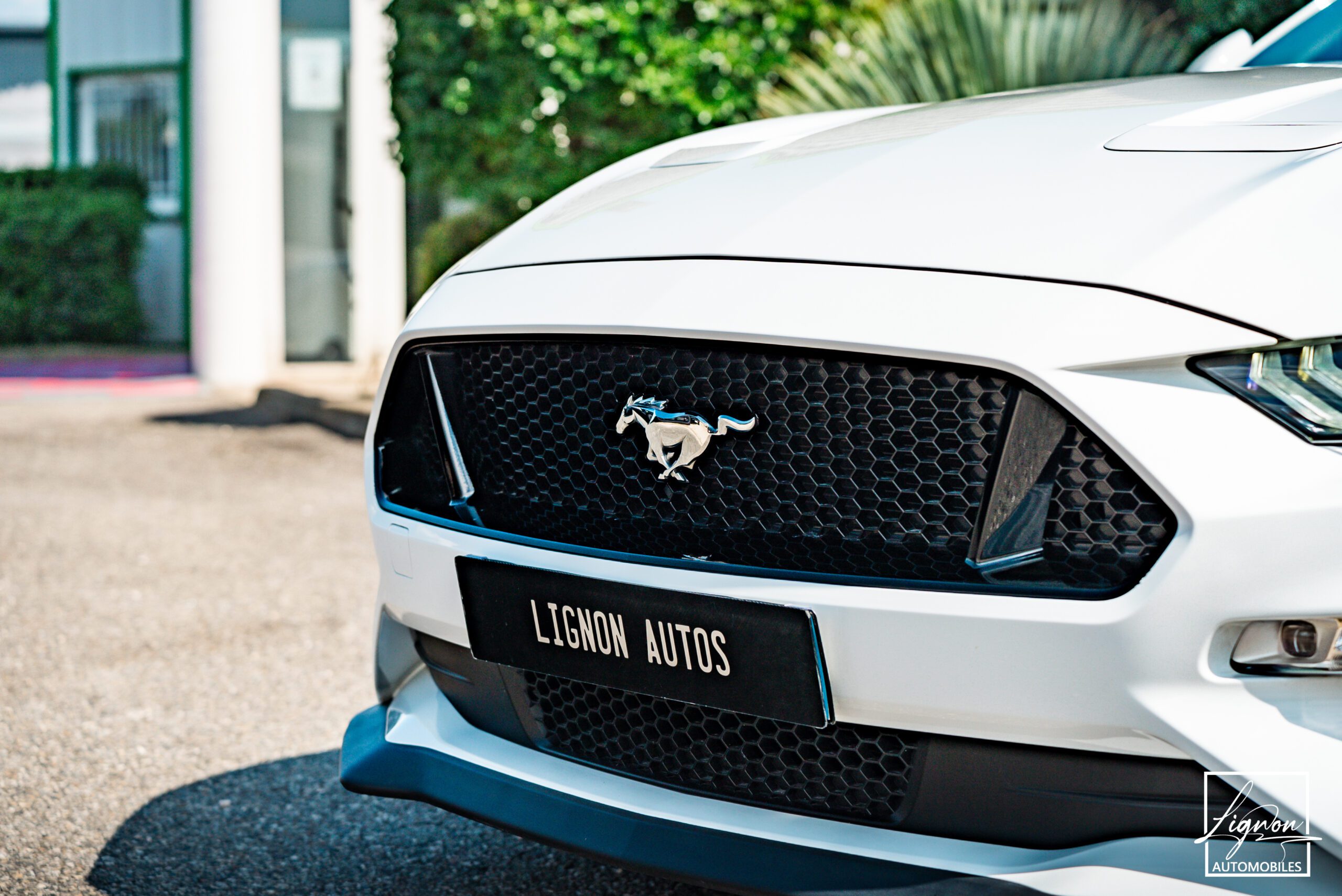 Photo Ford Mustang GT 5.0 v8 Cabriolet 450 ch BVA10