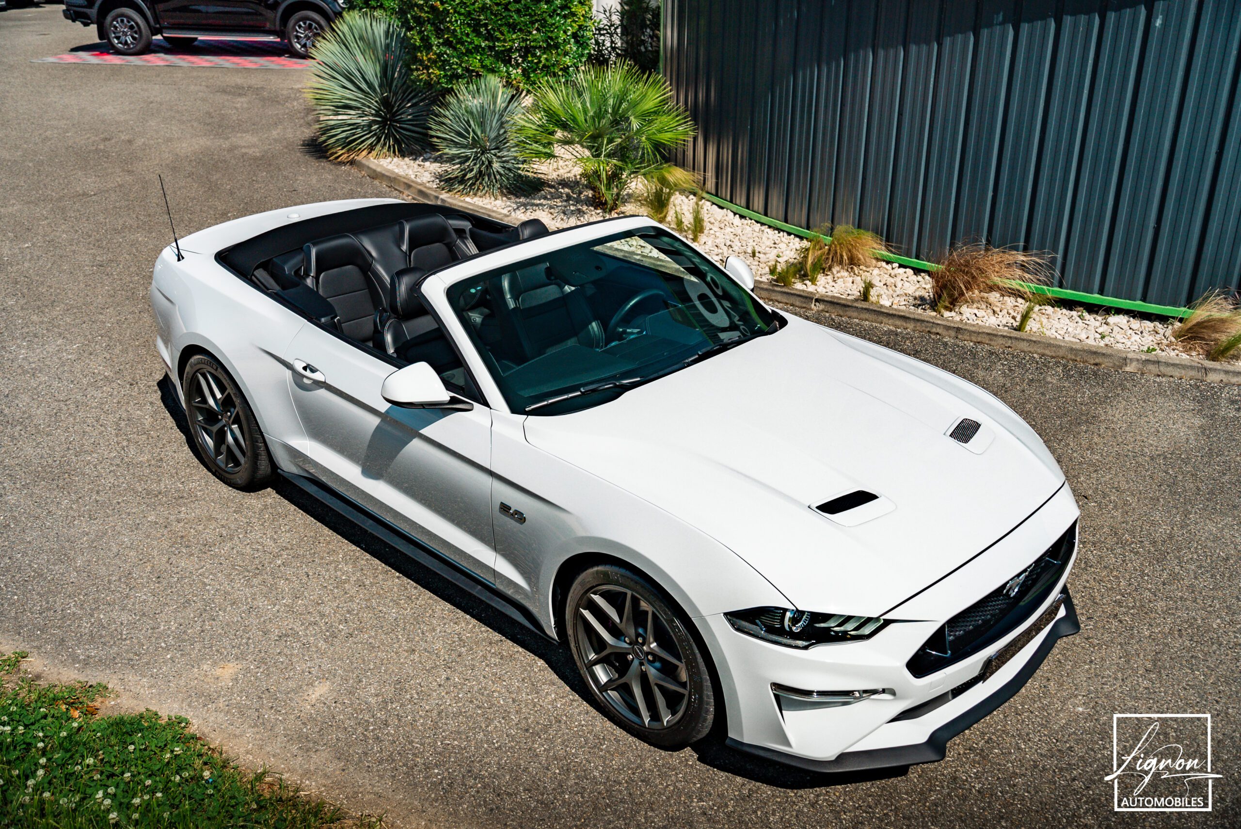 Photo Ford Mustang GT 5.0 v8 Cabriolet 450 ch BVA10