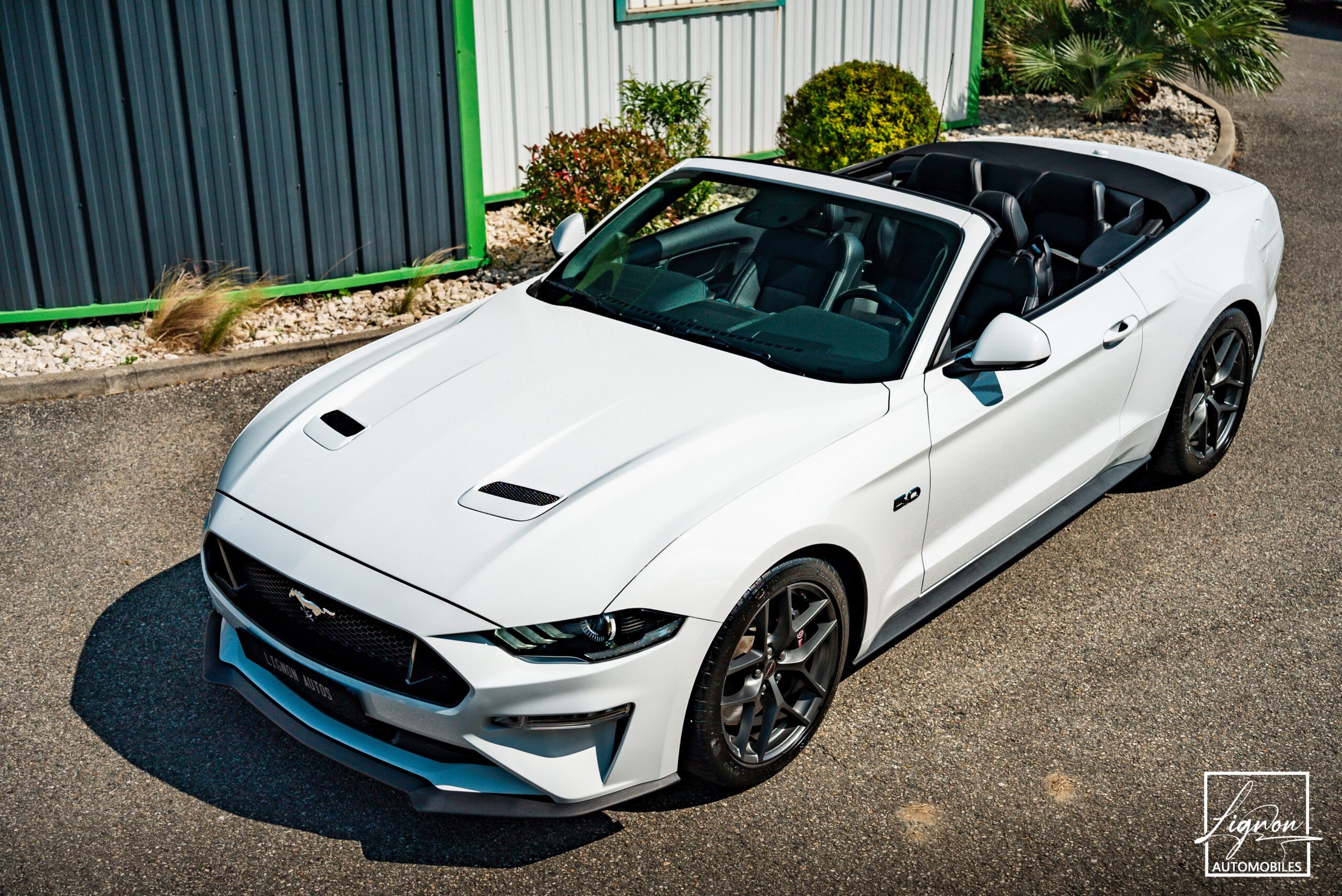 Photo Ford Mustang GT 5.0 v8 Cabriolet 450 ch BVA10
