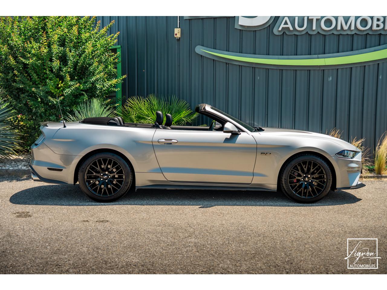 Photo FORD MUSTANG Cabriolet Gt 5.0l V8 450 BVM6 Premium