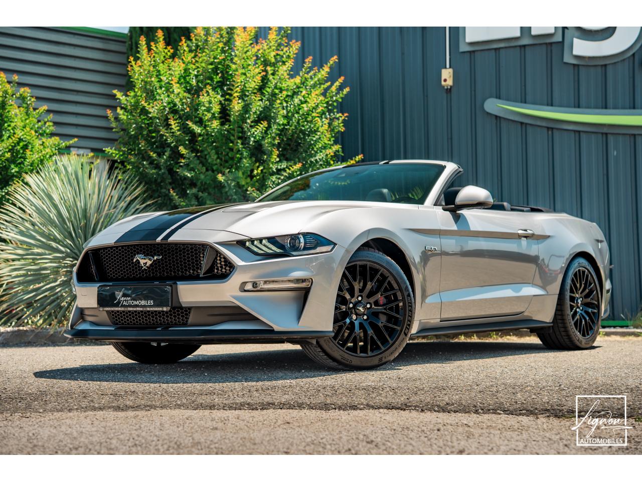 Photo FORD MUSTANG Cabriolet Gt 5.0l V8 450 BVM6 Premium