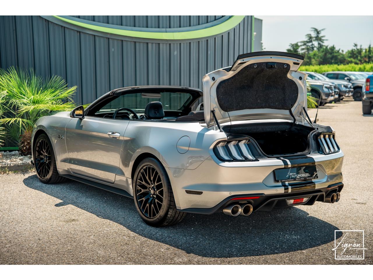 Photo FORD MUSTANG Cabriolet Gt 5.0l V8 450 BVM6 Premium