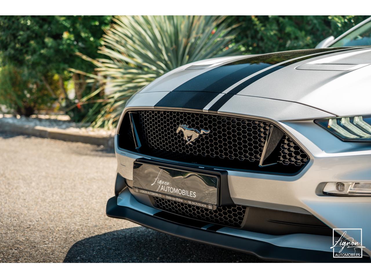 Photo FORD MUSTANG Cabriolet Gt 5.0l V8 450 BVM6 Premium
