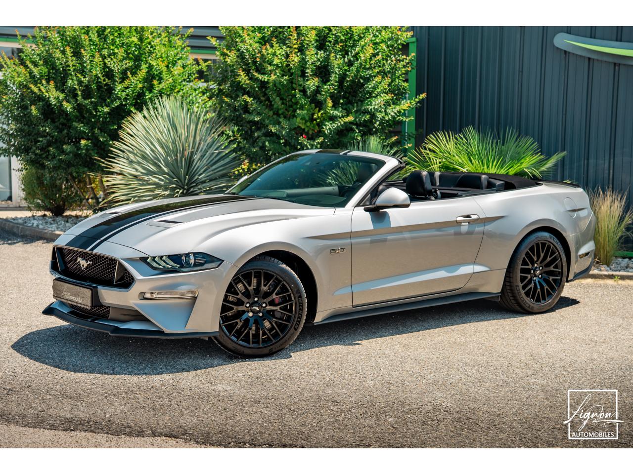 Photo FORD MUSTANG Cabriolet Gt 5.0l V8 450 BVM6 Premium