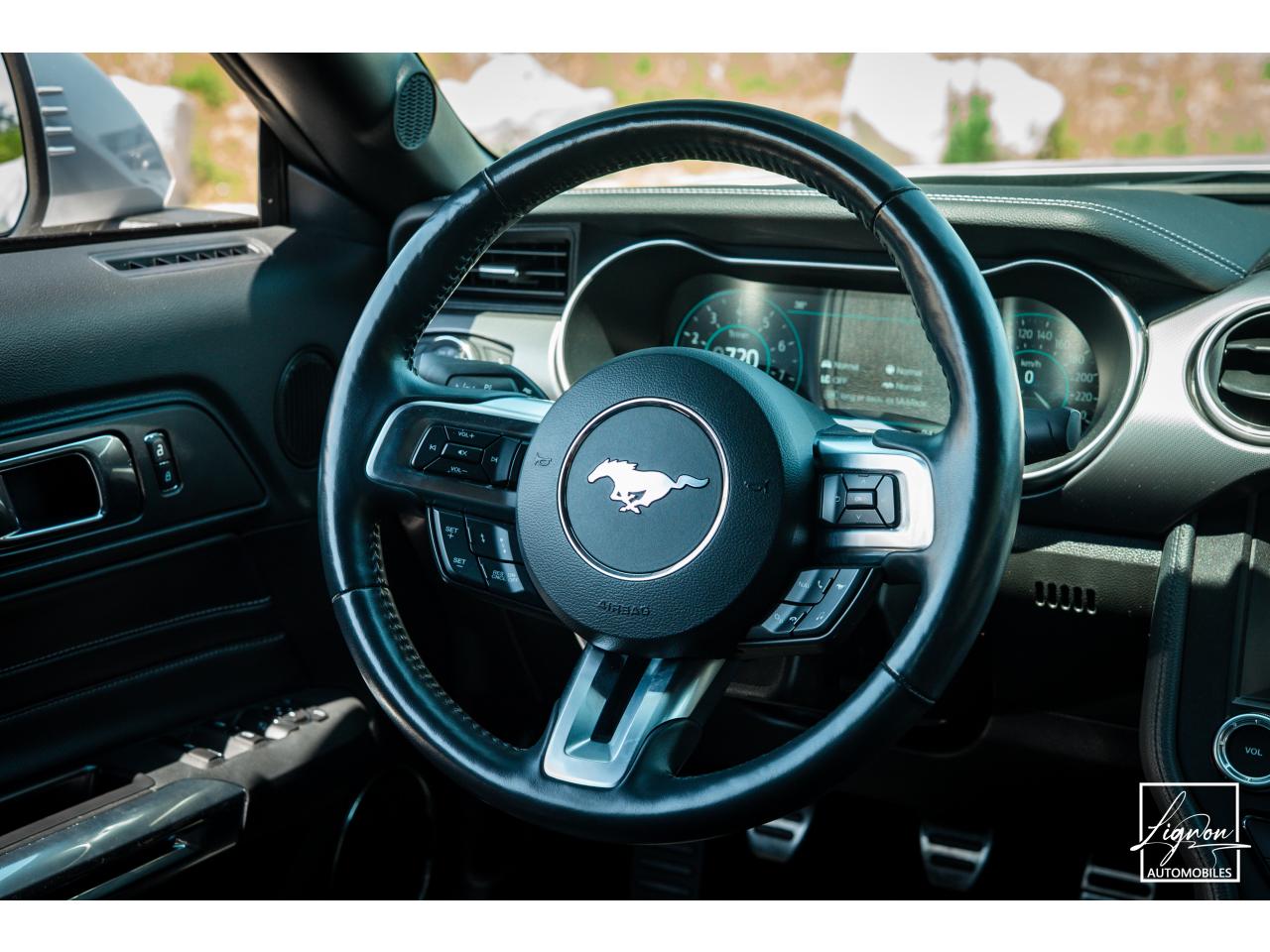 Photo FORD MUSTANG Cabriolet Gt 5.0l V8 450 BVM6 Premium