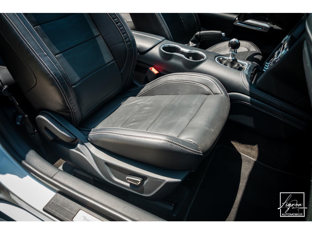 Photo FORD MUSTANG Cabriolet Gt 5.0l V8 450 BVM6 Premium