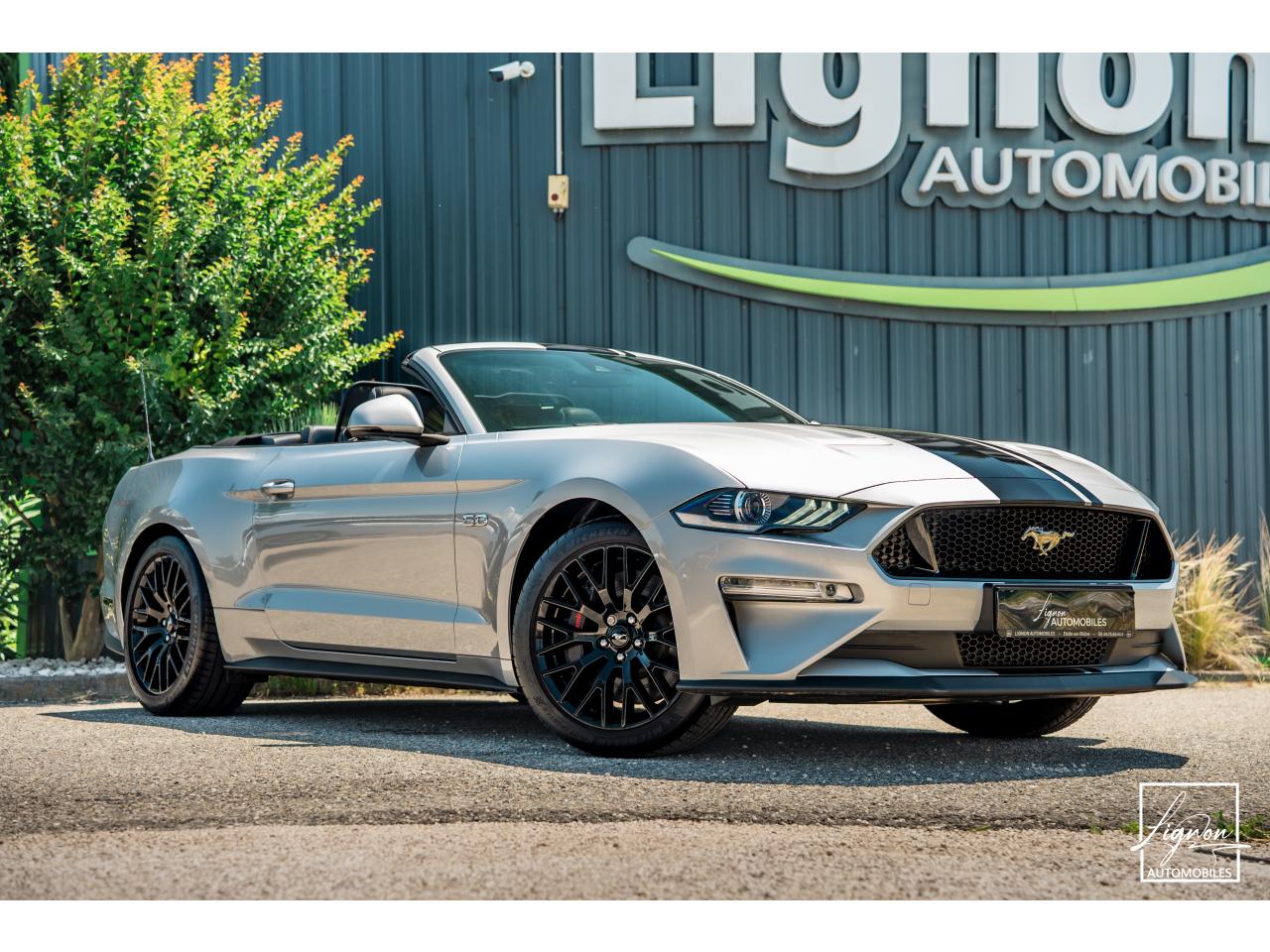 Photo FORD MUSTANG Cabriolet Gt 5.0l V8 450 BVM6 Premium
