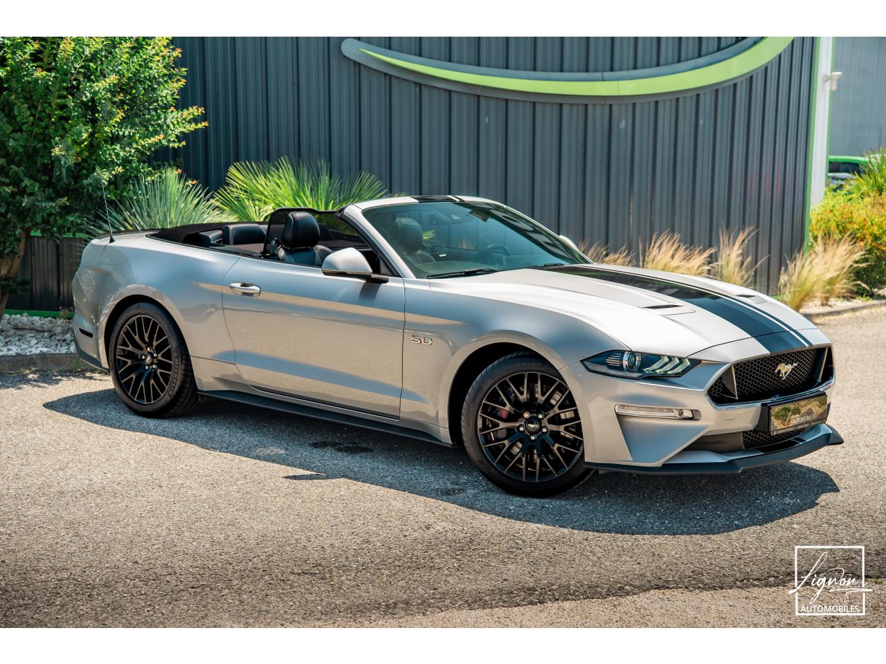 Photo FORD MUSTANG Cabriolet Gt 5.0l V8 450 BVM6 Premium