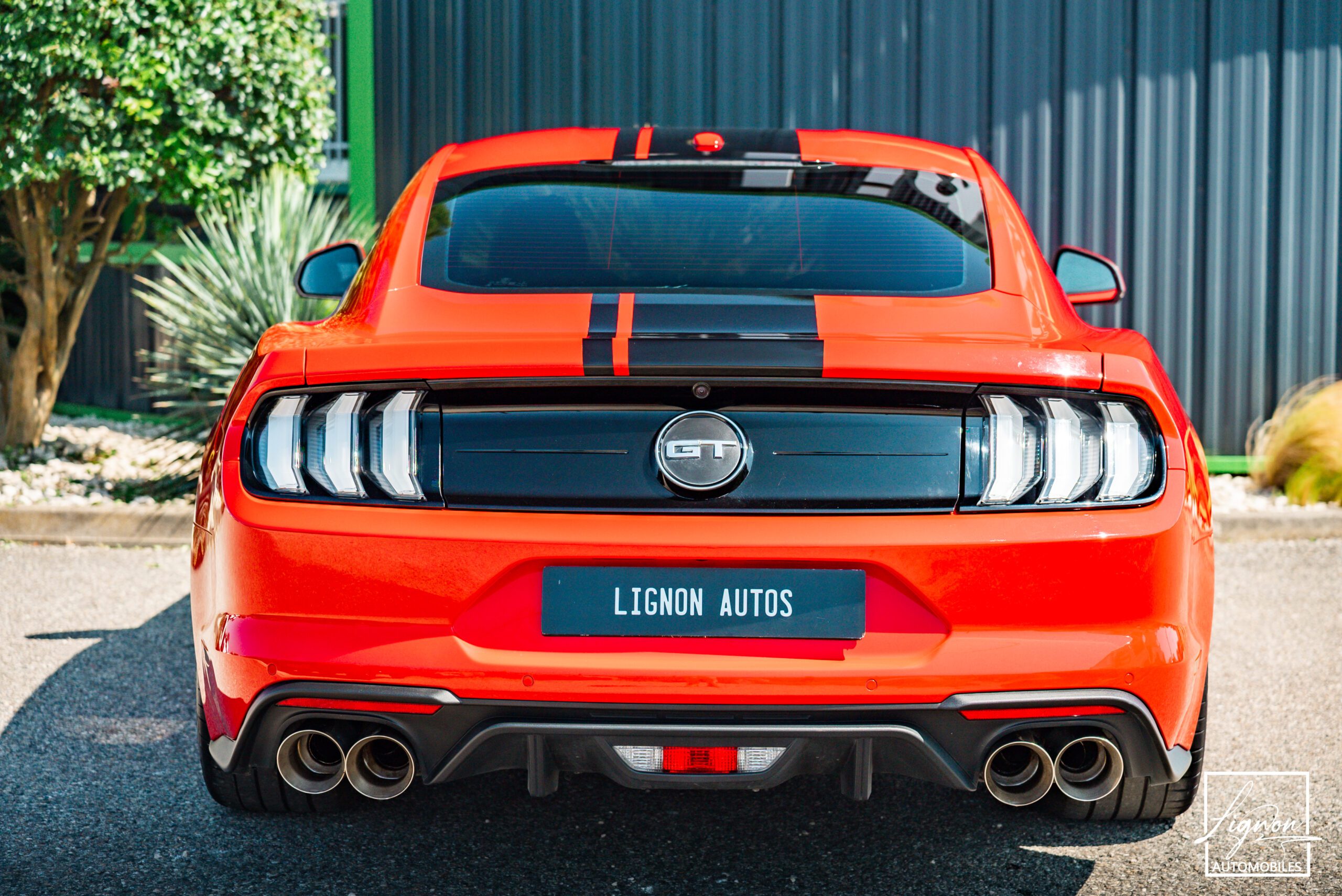 Photo Ford Mustang Fastback Gt 5.0l V8 450 Bva10 Premium