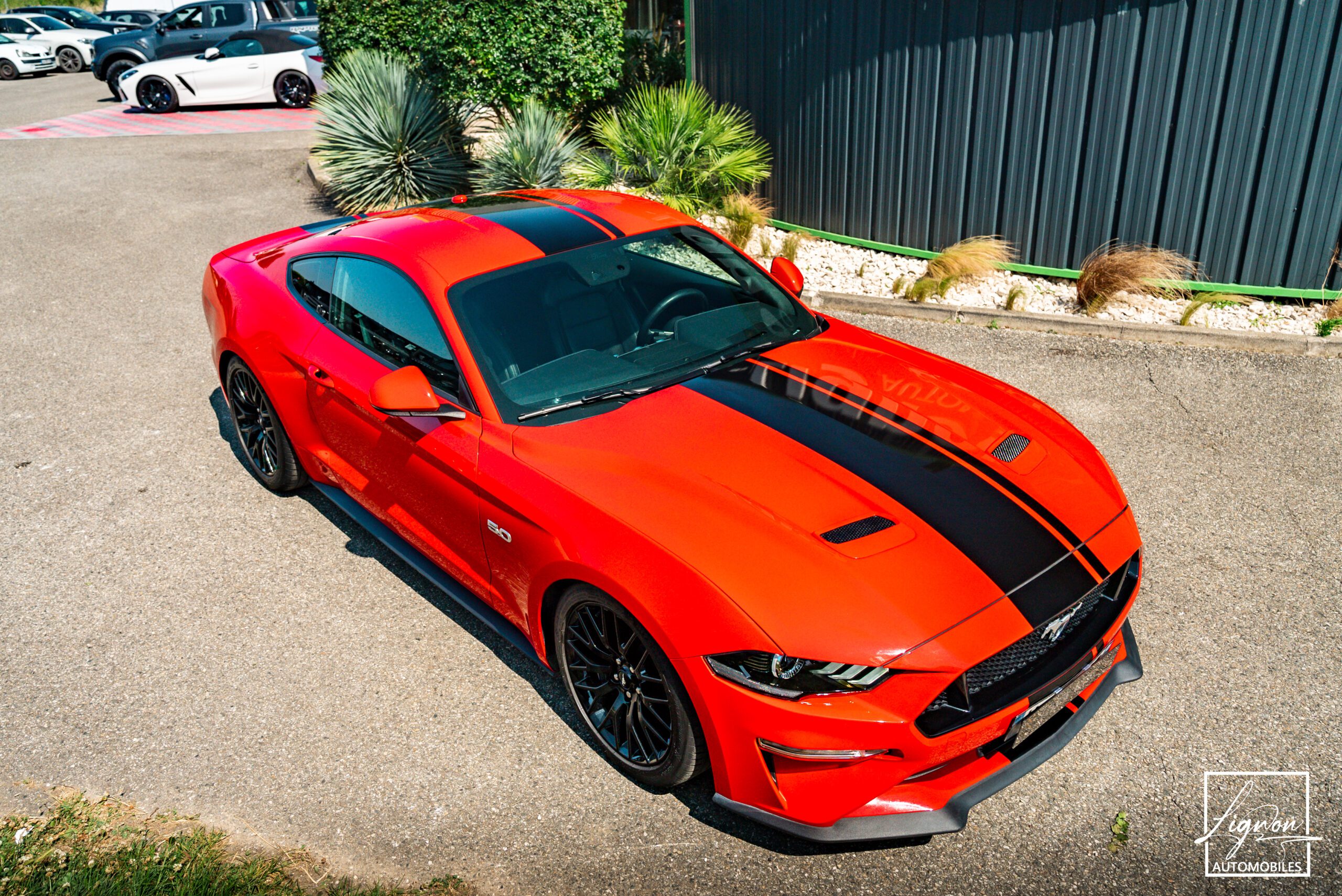 Photo Ford Mustang Fastback Gt 5.0l V8 450 Bva10 Premium