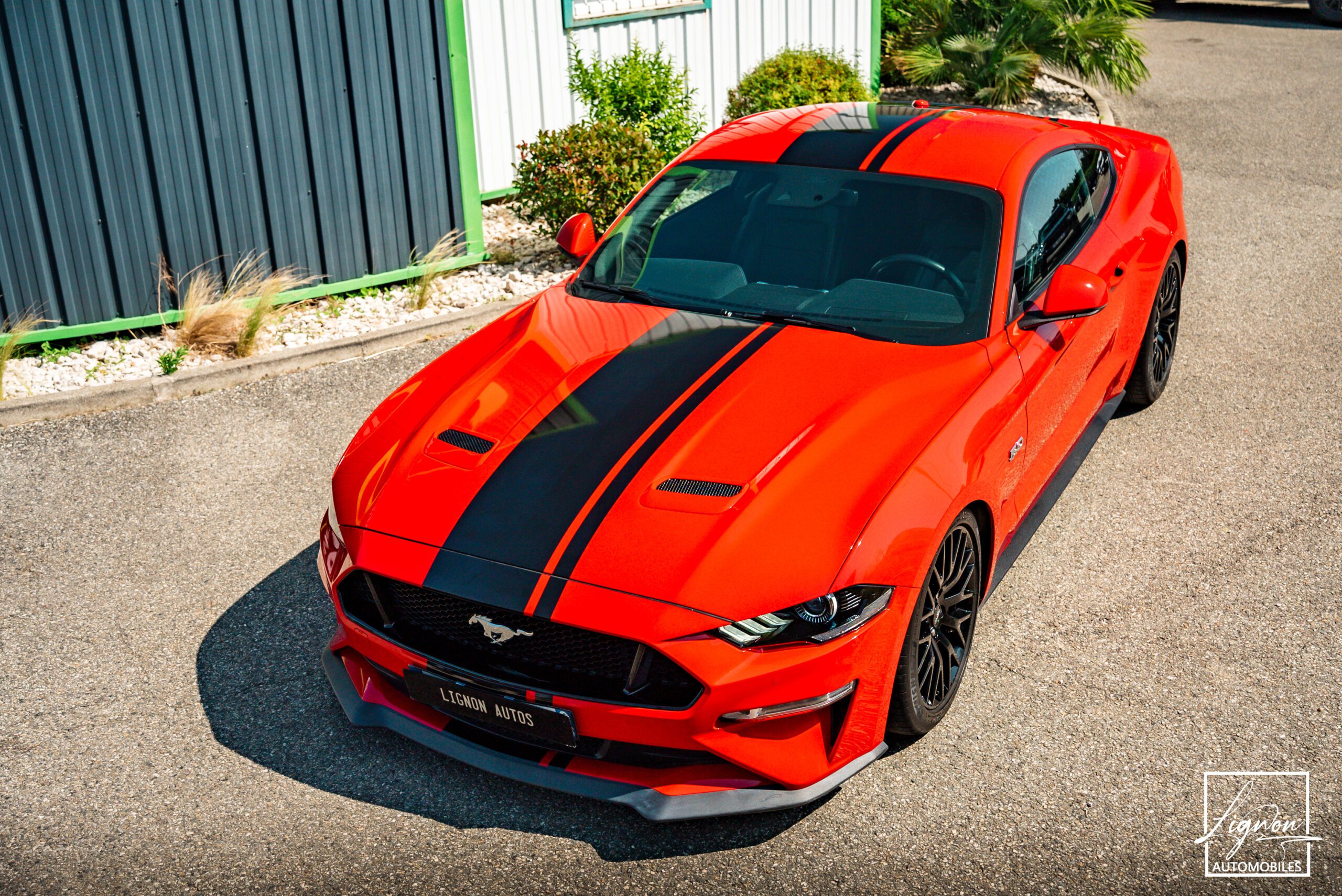 Photo Ford Mustang Fastback Gt 5.0l V8 450 Bva10 Premium