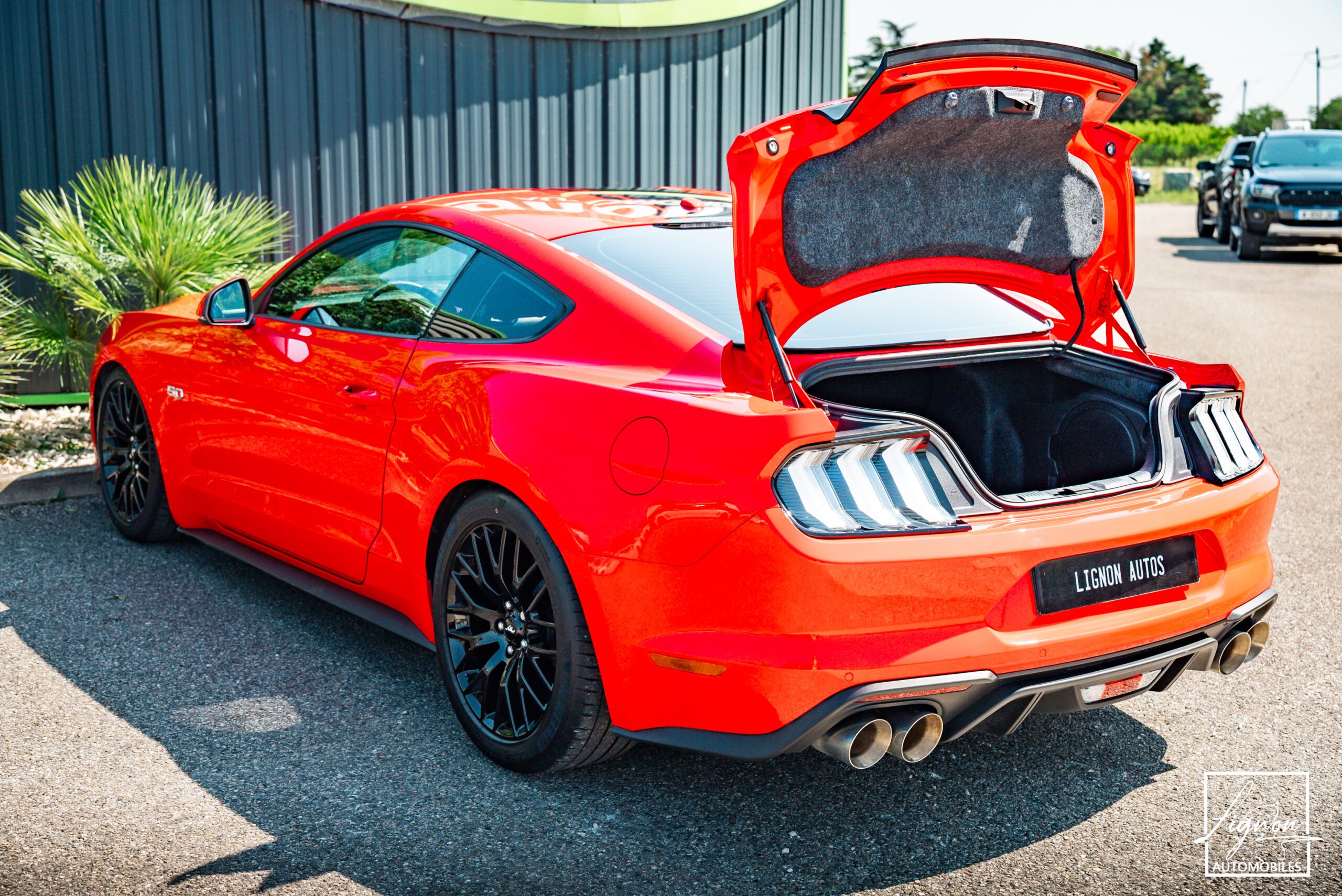 Photo Ford Mustang Fastback Gt 5.0l V8 450 Bva10 Premium