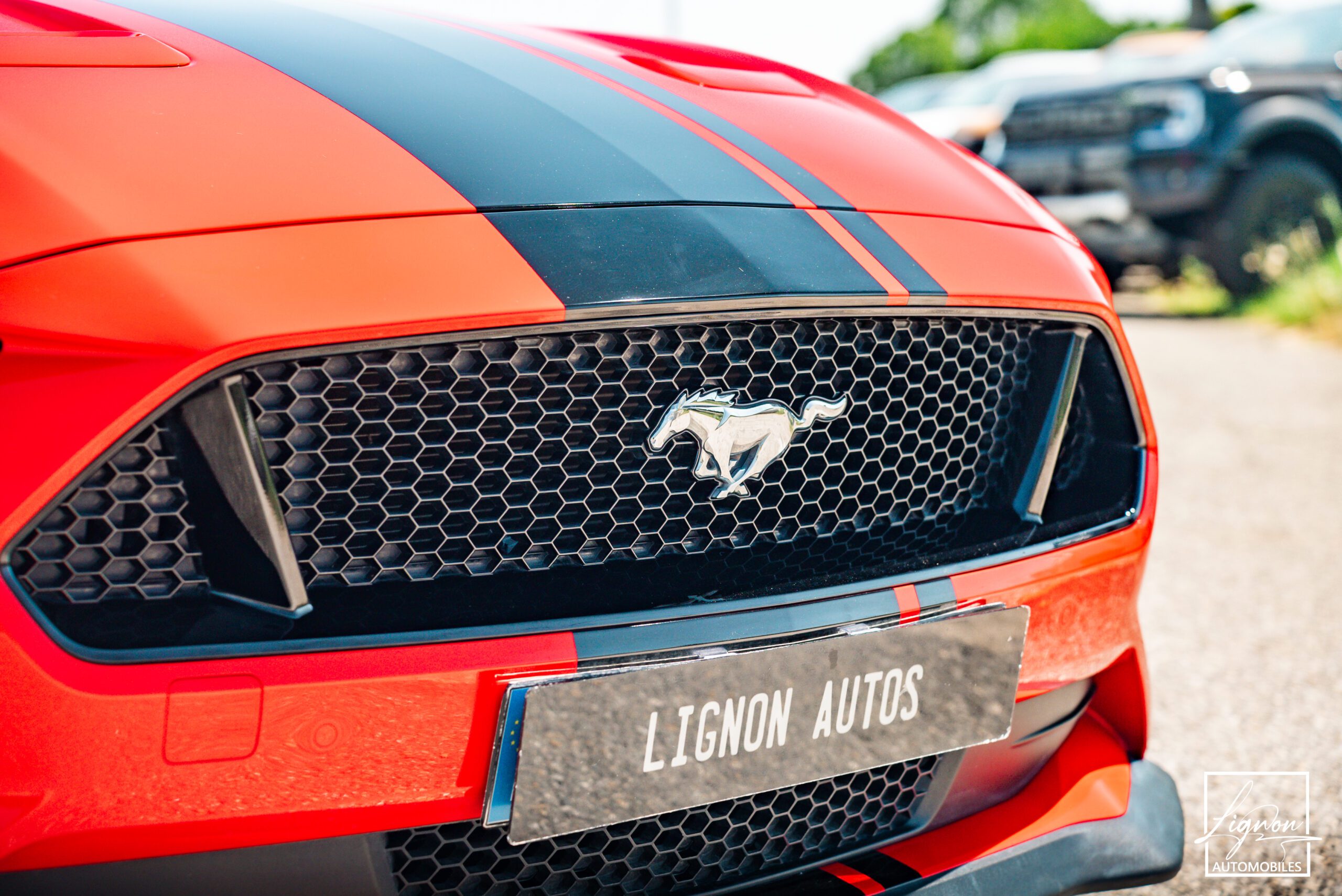 Photo Ford Mustang Fastback Gt 5.0l V8 450 Bva10 Premium