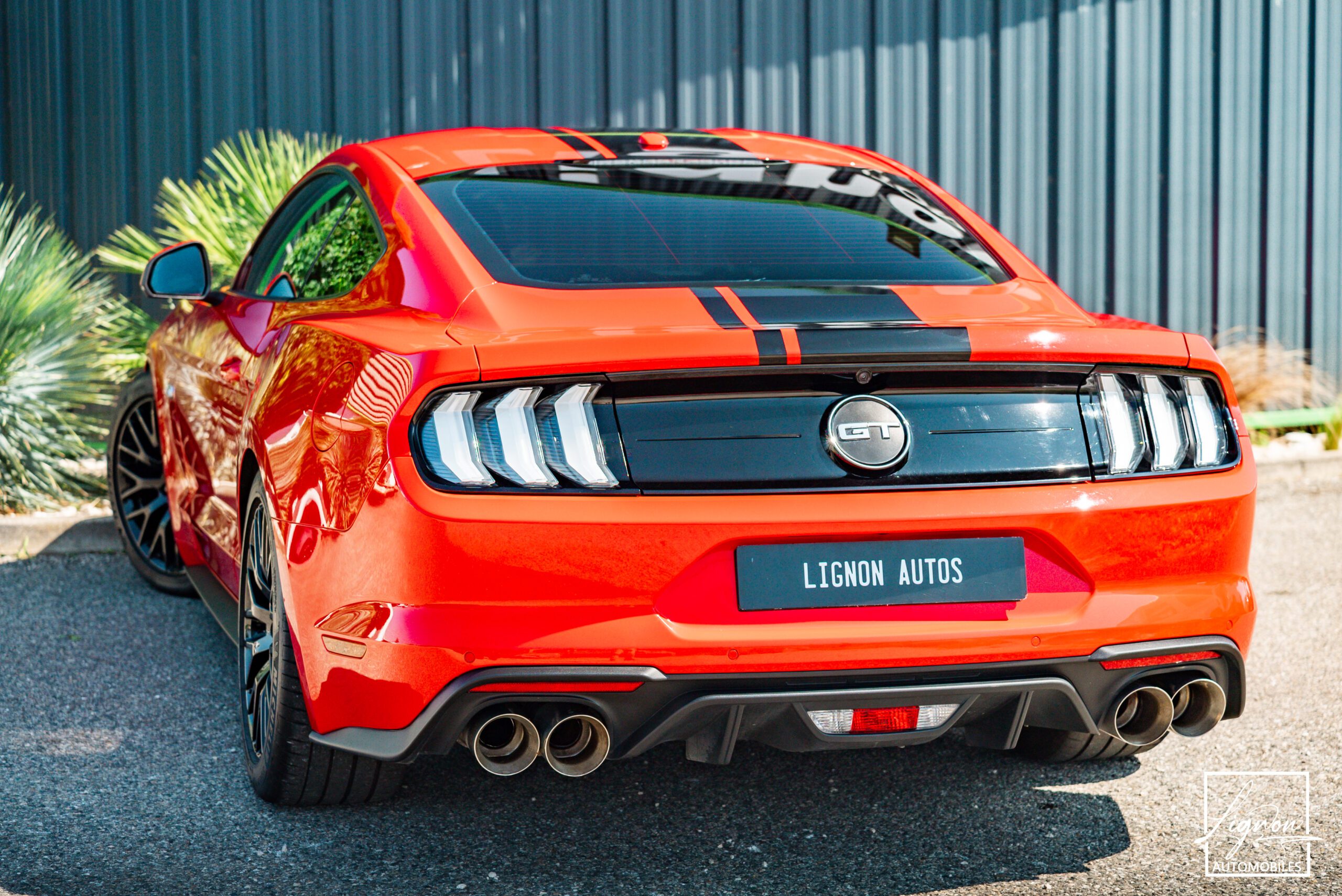 Photo Ford Mustang Fastback Gt 5.0l V8 450 Bva10 Premium