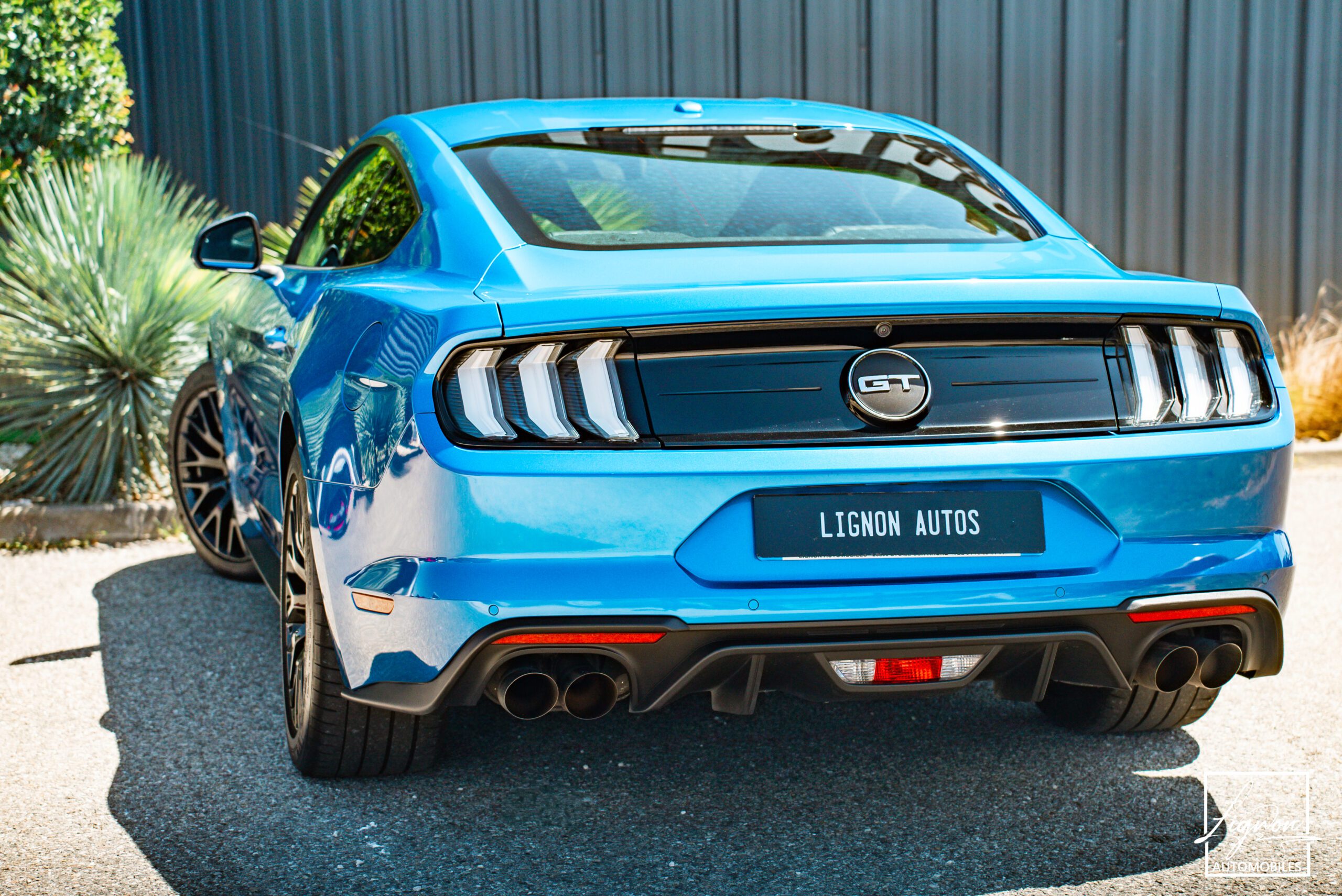 Photo Ford Mustang Fasback GT 5.0L V8 450 BVA10 - B&0 - Magneride