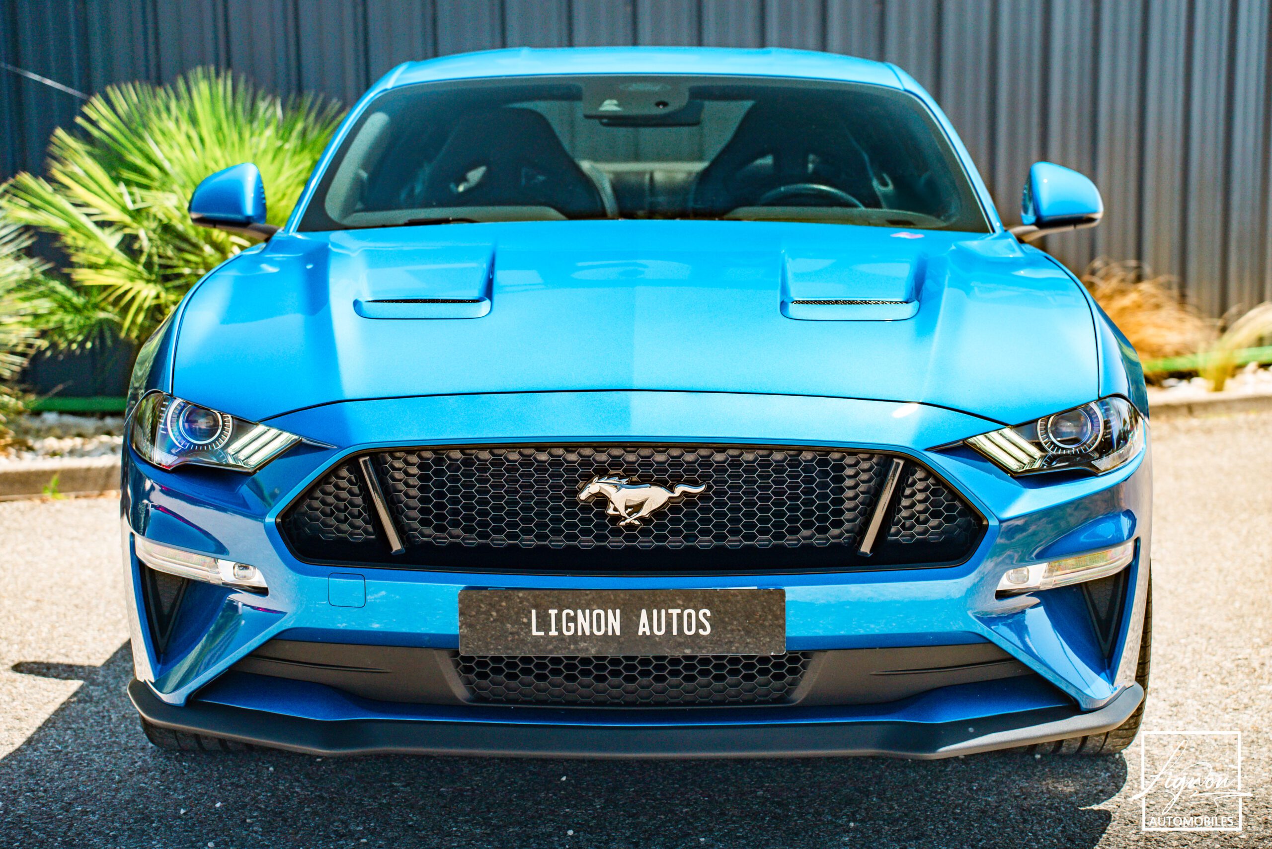 Photo Ford Mustang Fasback GT 5.0L V8 450 BVA10 - B&0 - Magneride