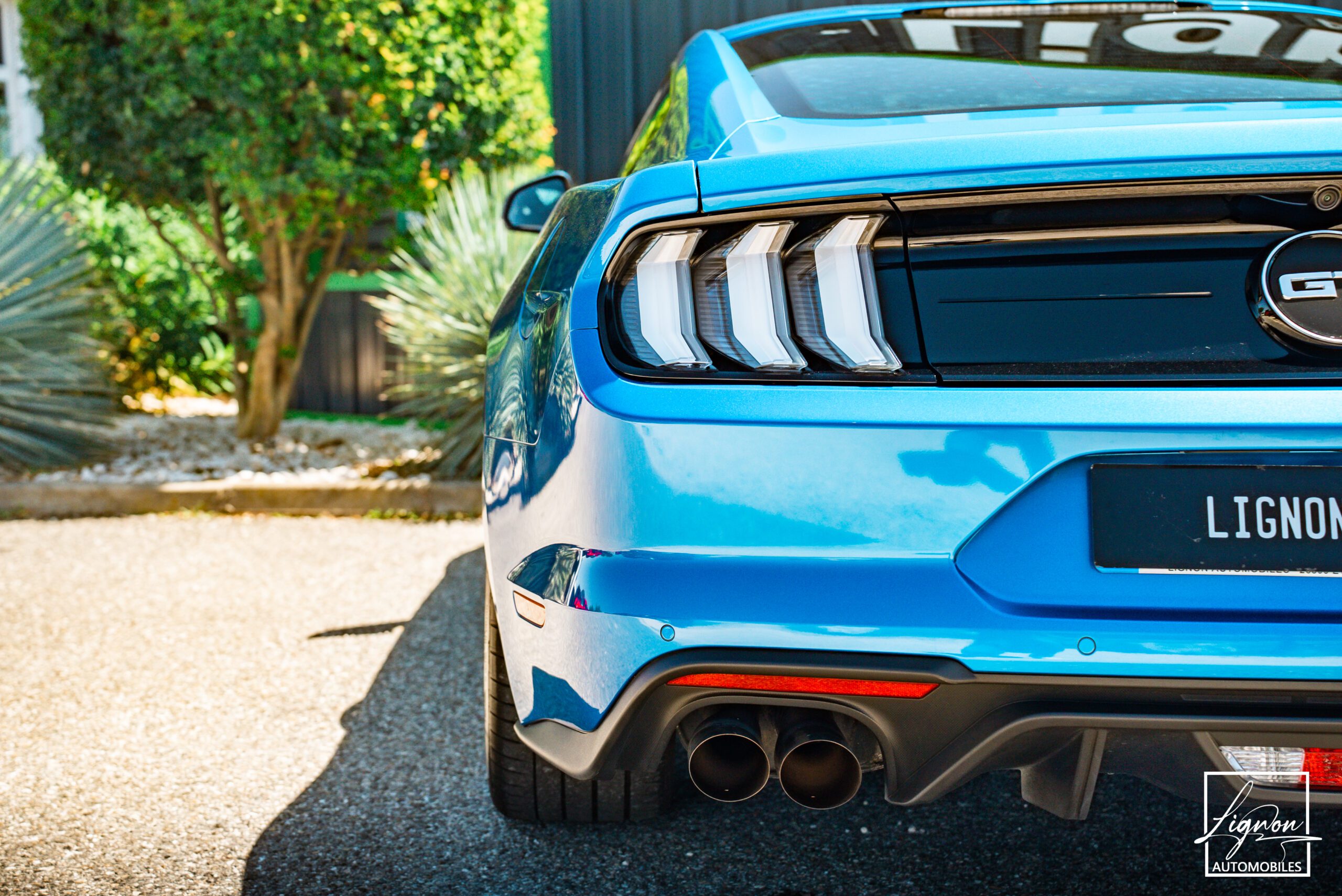 Photo Ford Mustang Fasback GT 5.0L V8 450 BVA10 - B&0 - Magneride
