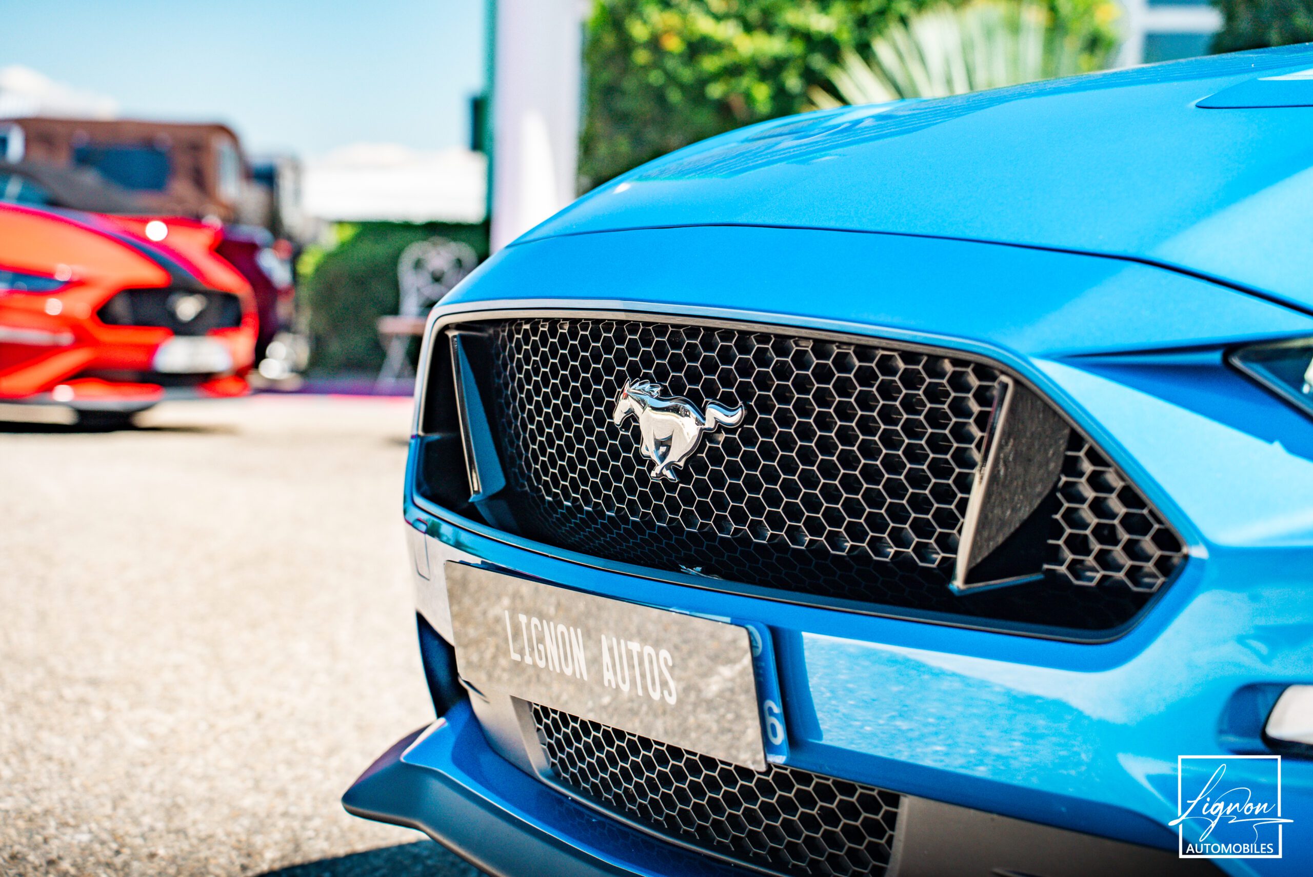 Photo Ford Mustang Fasback GT 5.0L V8 450 BVA10 - B&0 - Magneride