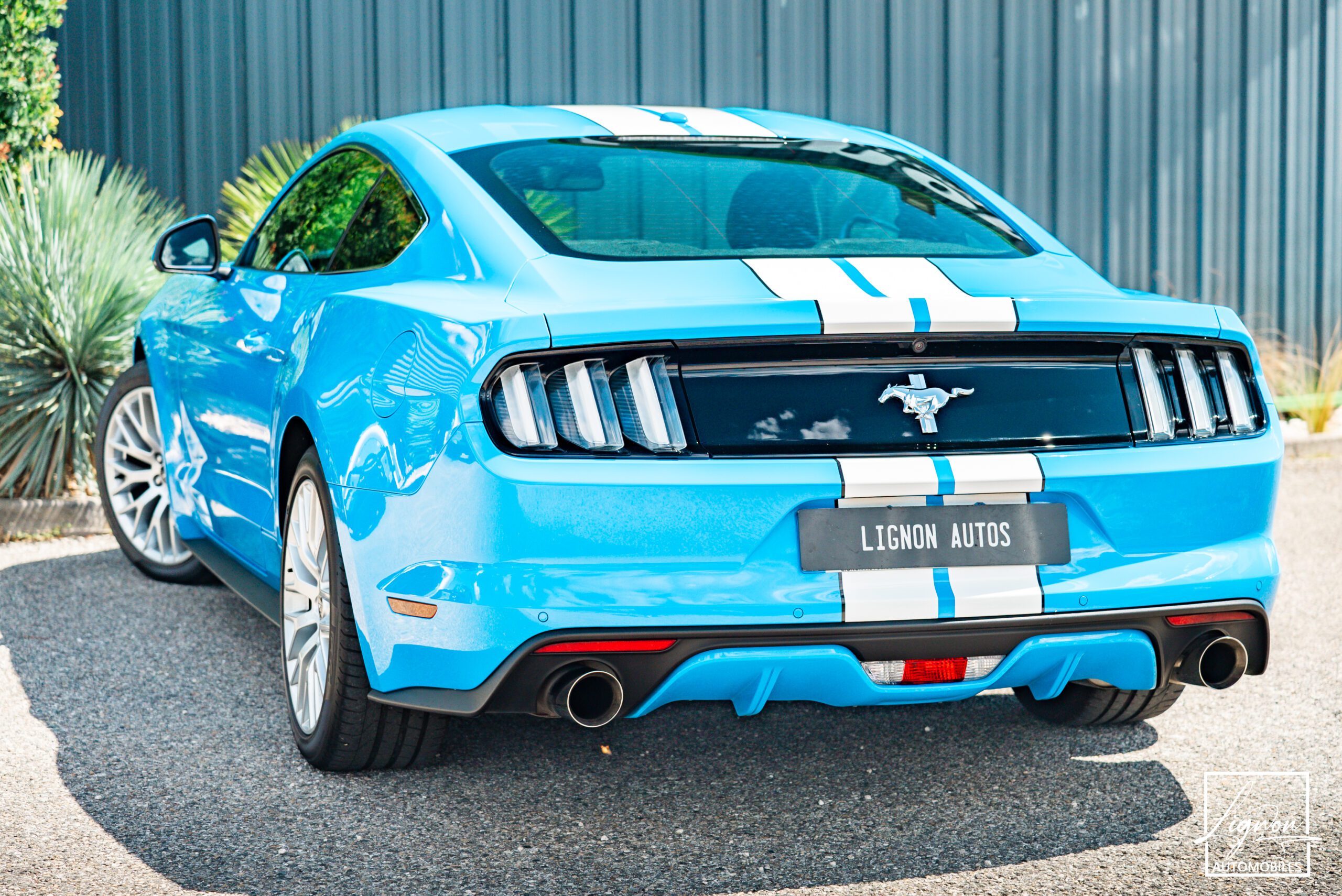 Photo Ford Mustang 2.3 Fastback Ecoboost 317ch BVM6