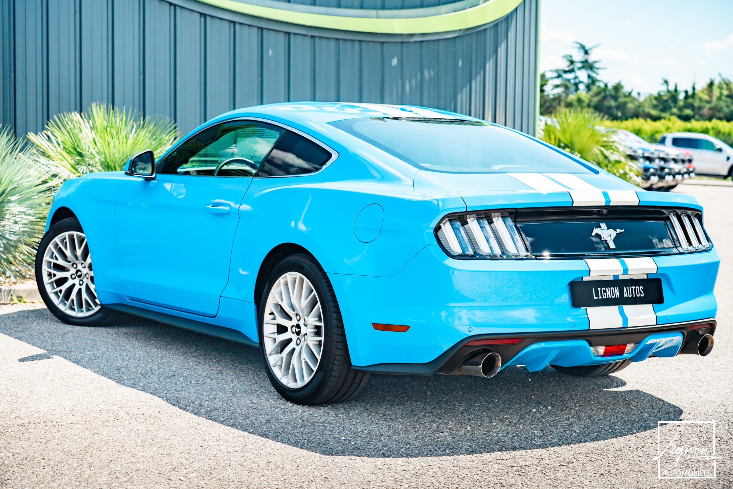 Photo Ford Mustang 2.3 Fastback Ecoboost 317ch BVM6