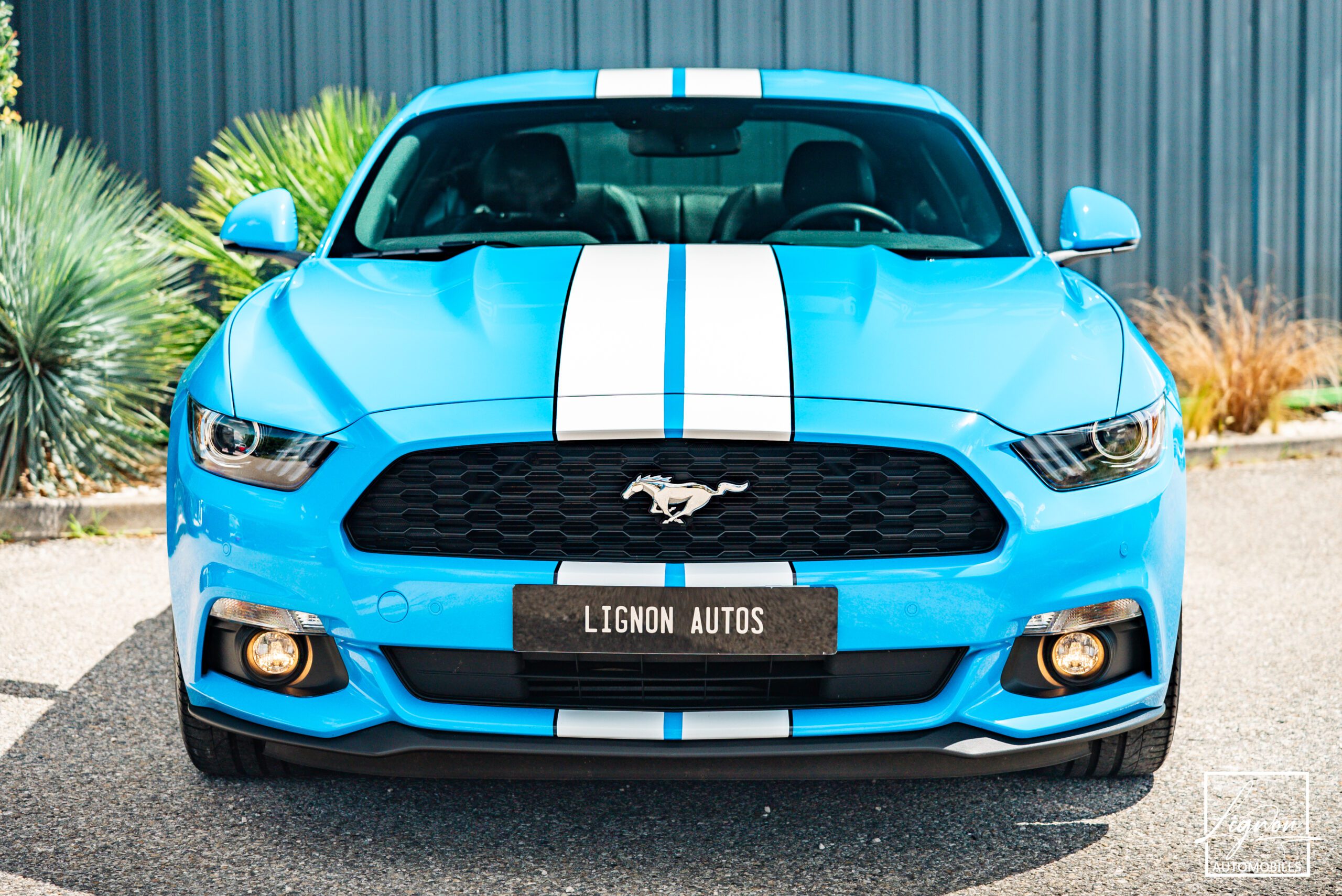 Photo Ford Mustang 2.3 Fastback Ecoboost 317ch BVM6
