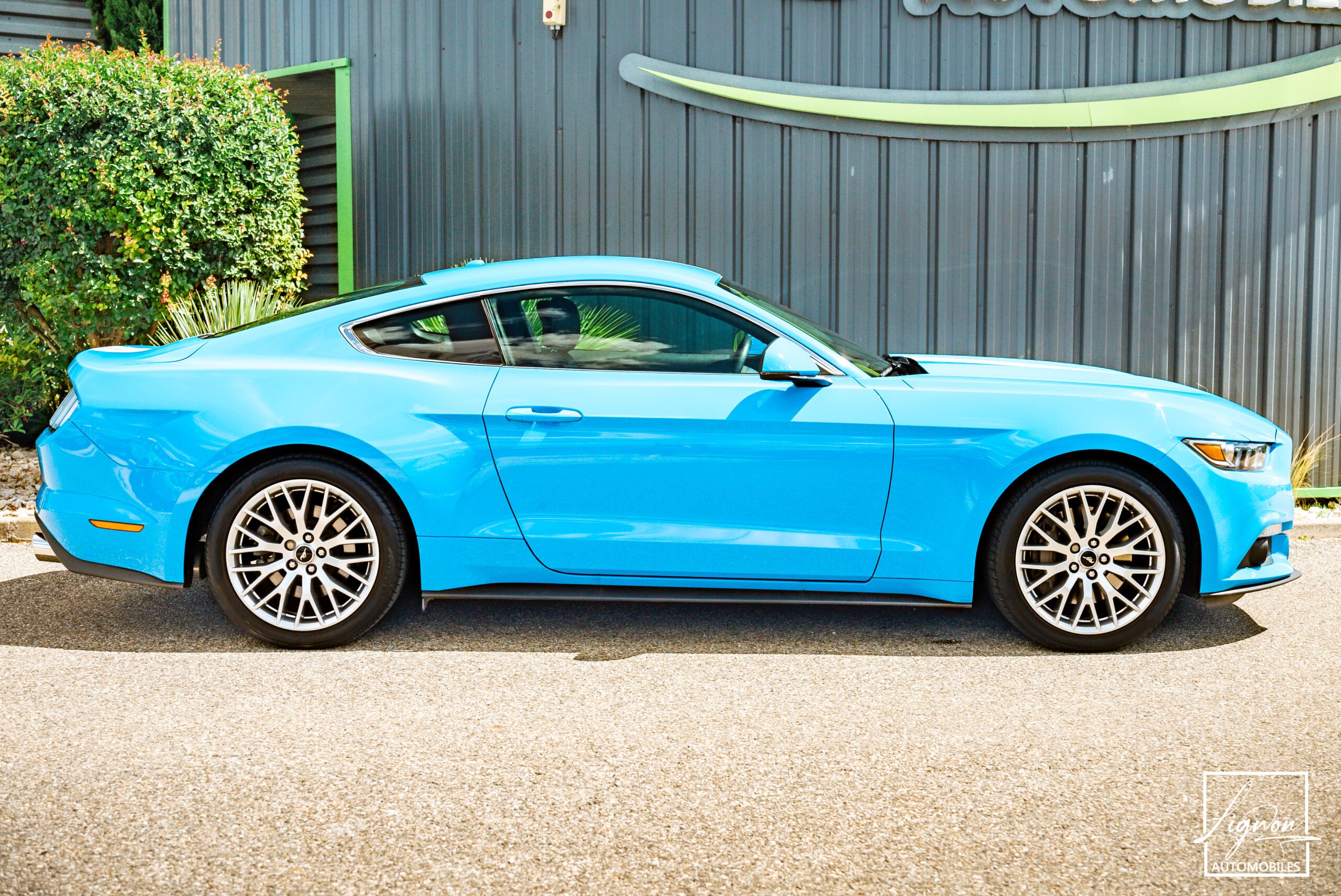 Photo Ford Mustang 2.3 Fastback Ecoboost 317ch BVM6